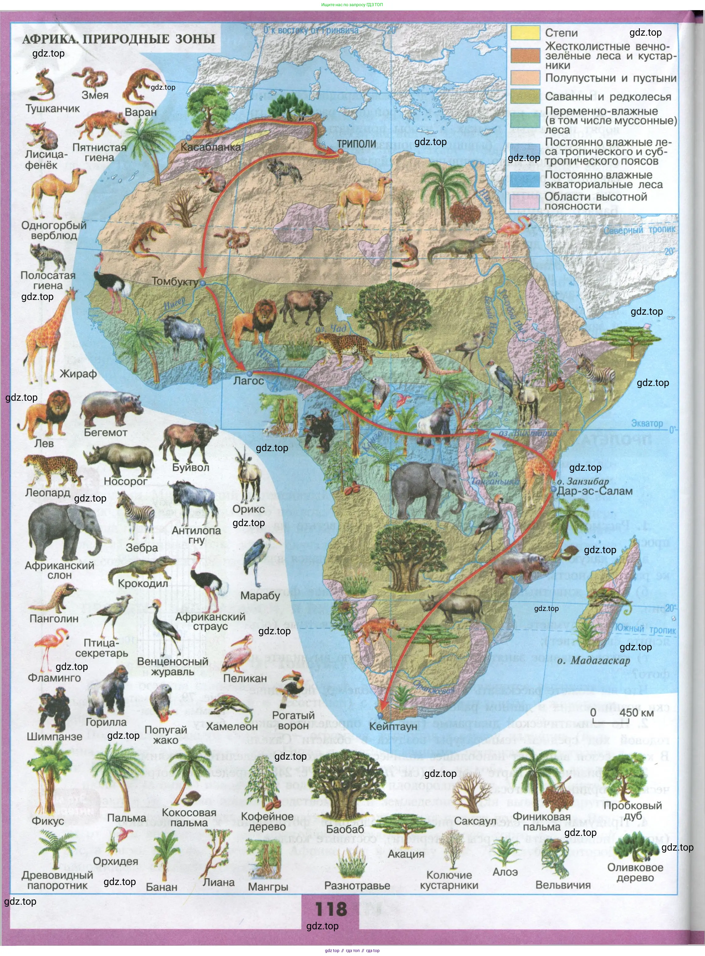 География, 7 класс Учебник, авторы: Алексеев Александр Иванович, Николина Вера Викторовна, Липкина Елена Карловна, Болысов Сергей Иванович, Ачкасова Татьяна Анатольевна, Кузнецова Галина Юрьевна, издательство Просвещение, Москва, 2023, жёлтого цвета, страница 118