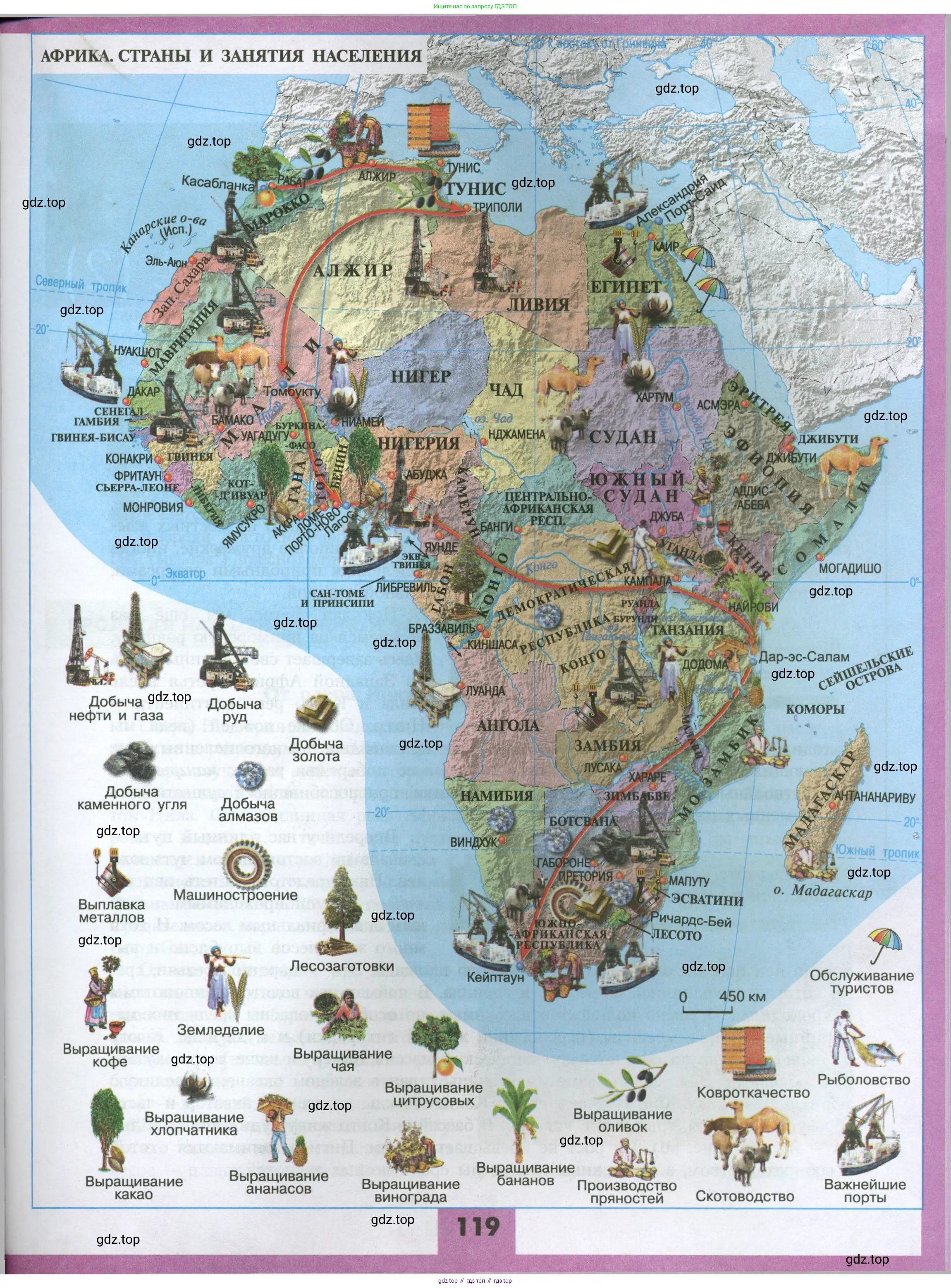 География, 7 класс Учебник, авторы: Алексеев Александр Иванович, Николина Вера Викторовна, Липкина Елена Карловна, Болысов Сергей Иванович, Ачкасова Татьяна Анатольевна, Кузнецова Галина Юрьевна, издательство Просвещение, Москва, 2023, жёлтого цвета, страница 119