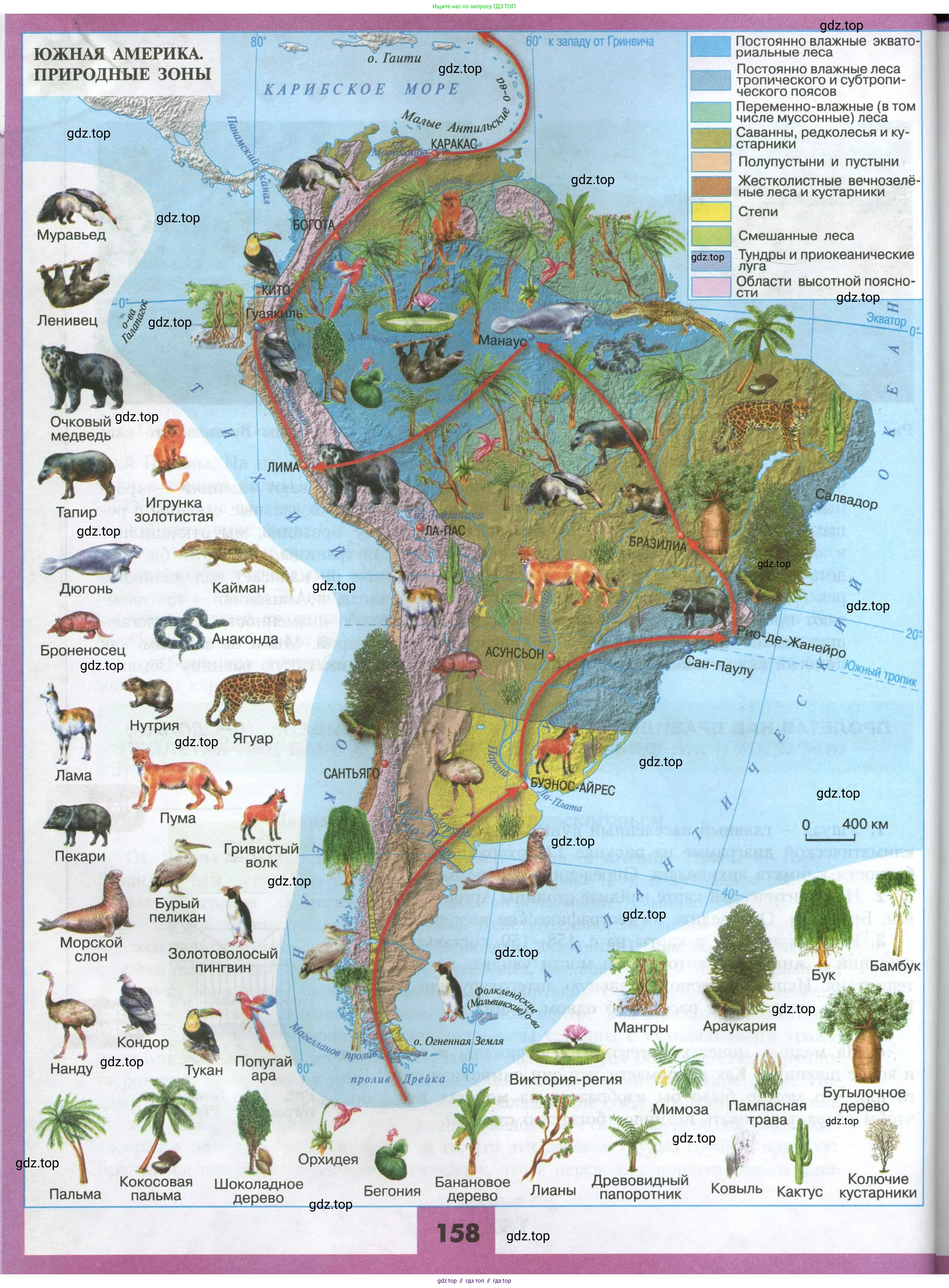 География, 7 класс Учебник, авторы: Алексеев Александр Иванович, Николина Вера Викторовна, Липкина Елена Карловна, Болысов Сергей Иванович, Ачкасова Татьяна Анатольевна, Кузнецова Галина Юрьевна, издательство Просвещение, Москва, 2023, жёлтого цвета, страница 158