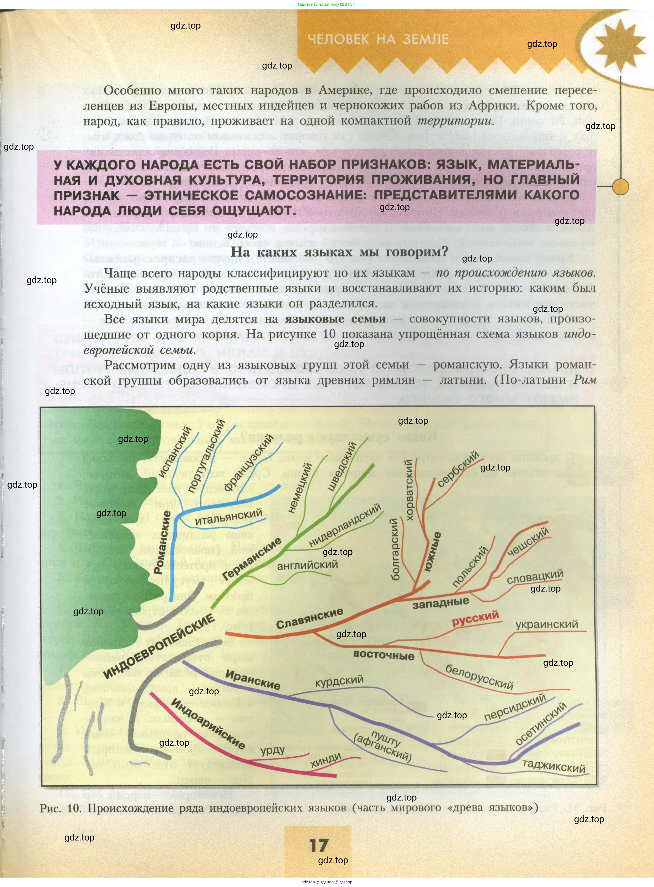 География, 7 класс Учебник, авторы: Алексеев Александр Иванович, Николина Вера Викторовна, Липкина Елена Карловна, Болысов Сергей Иванович, Ачкасова Татьяна Анатольевна, Кузнецова Галина Юрьевна, издательство Просвещение, Москва, 2023, жёлтого цвета, страница 17