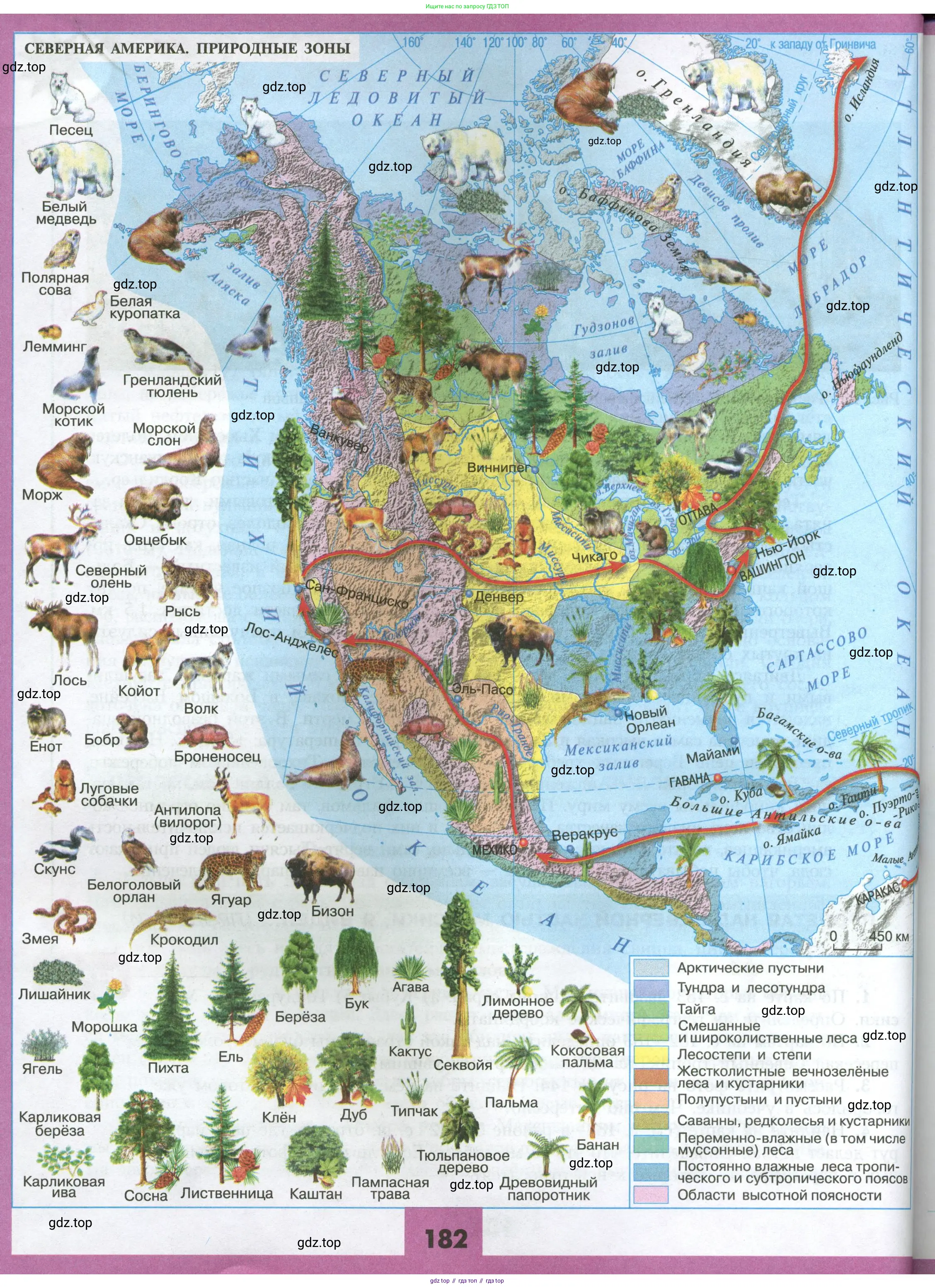 География, 7 класс Учебник, авторы: Алексеев Александр Иванович, Николина Вера Викторовна, Липкина Елена Карловна, Болысов Сергей Иванович, Ачкасова Татьяна Анатольевна, Кузнецова Галина Юрьевна, издательство Просвещение, Москва, 2023, жёлтого цвета, страница 182