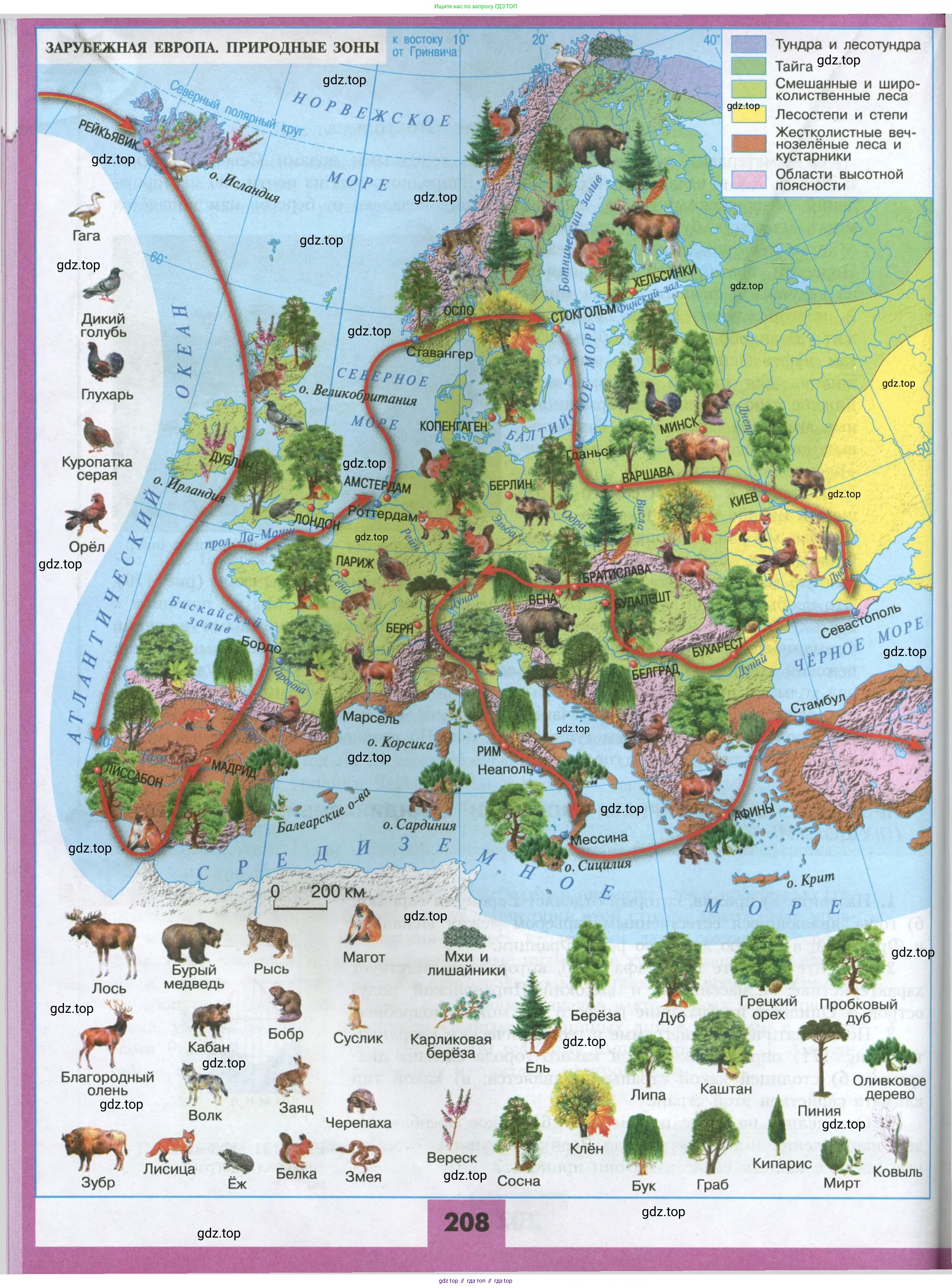 География, 7 класс Учебник, авторы: Алексеев Александр Иванович, Николина Вера Викторовна, Липкина Елена Карловна, Болысов Сергей Иванович, Ачкасова Татьяна Анатольевна, Кузнецова Галина Юрьевна, издательство Просвещение, Москва, 2023, жёлтого цвета, страница 208