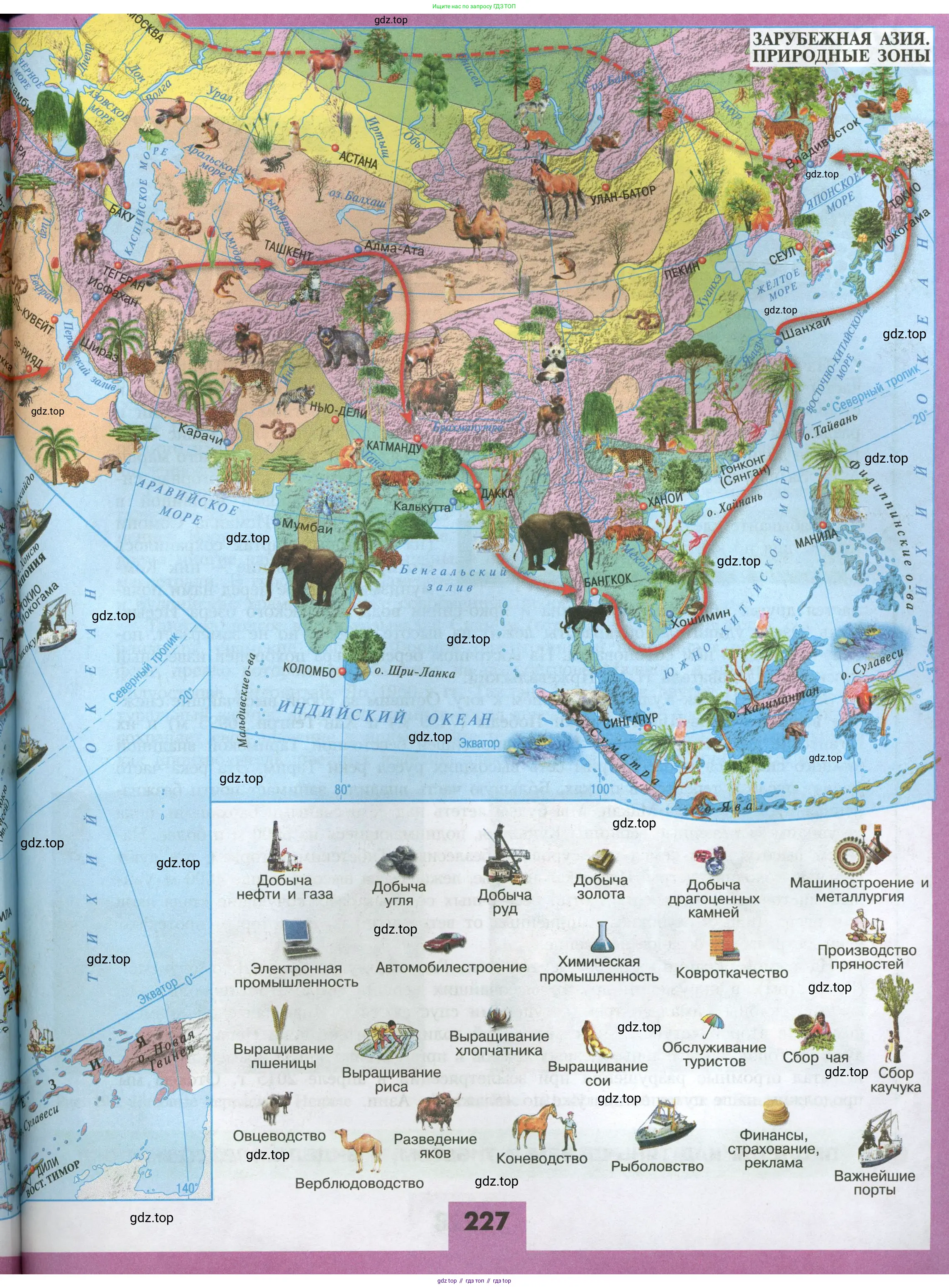 География, 7 класс Учебник, авторы: Алексеев Александр Иванович, Николина Вера Викторовна, Липкина Елена Карловна, Болысов Сергей Иванович, Ачкасова Татьяна Анатольевна, Кузнецова Галина Юрьевна, издательство Просвещение, Москва, 2023, жёлтого цвета, страница 227