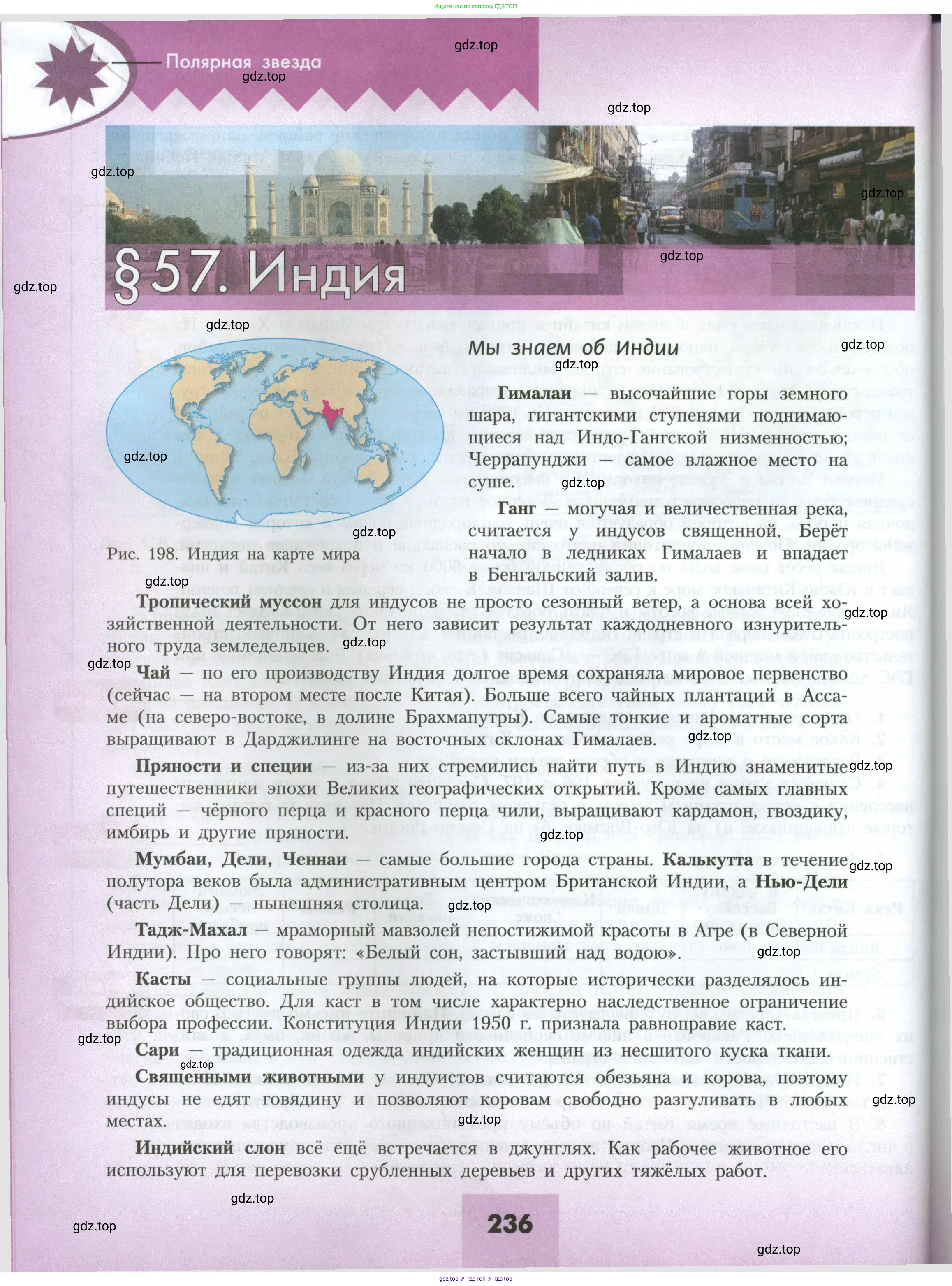 География, 7 класс Учебник, авторы: Алексеев Александр Иванович, Николина Вера Викторовна, Липкина Елена Карловна, Болысов Сергей Иванович, Ачкасова Татьяна Анатольевна, Кузнецова Галина Юрьевна, издательство Просвещение, Москва, 2023, жёлтого цвета, страница 236