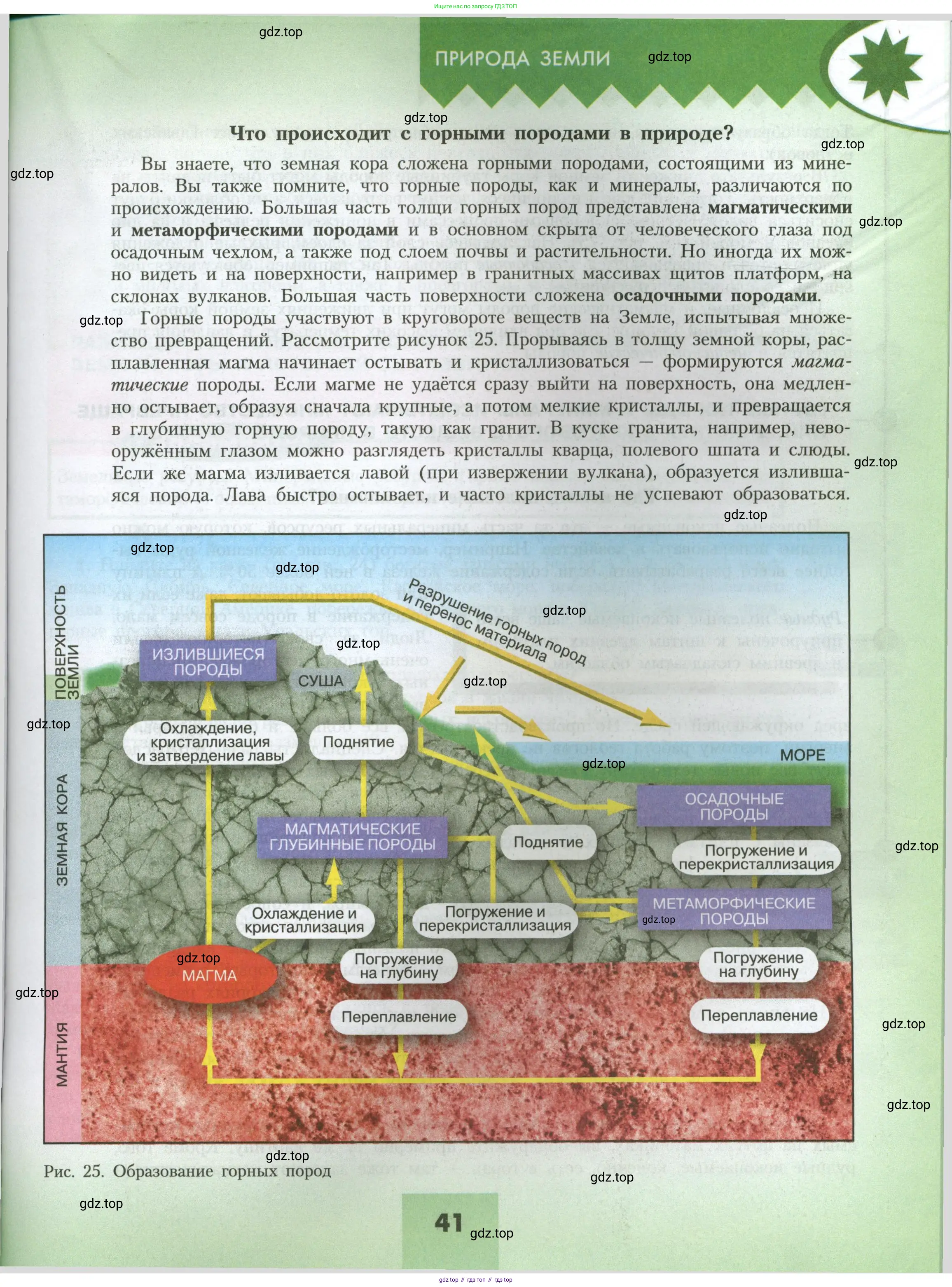 География, 7 класс Учебник, авторы: Алексеев Александр Иванович, Николина Вера Викторовна, Липкина Елена Карловна, Болысов Сергей Иванович, Ачкасова Татьяна Анатольевна, Кузнецова Галина Юрьевна, издательство Просвещение, Москва, 2023, жёлтого цвета, страница 41