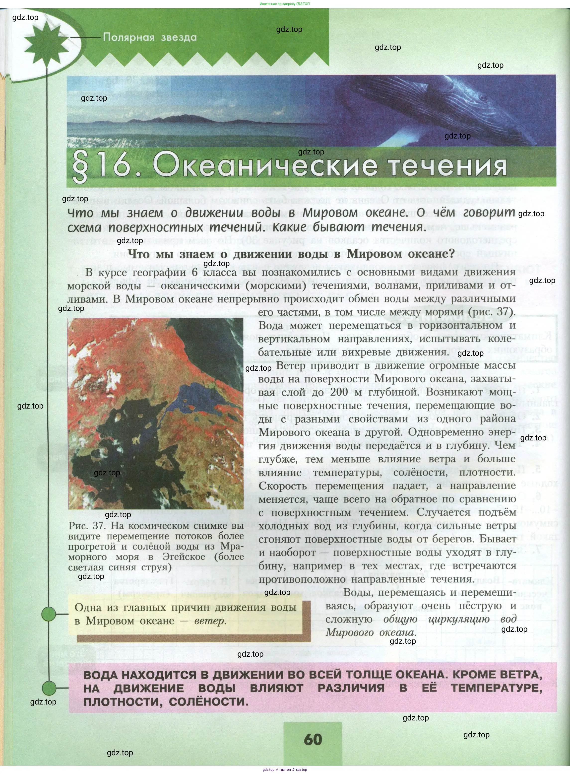 География, 7 класс Учебник, авторы: Алексеев Александр Иванович, Николина Вера Викторовна, Липкина Елена Карловна, Болысов Сергей Иванович, Ачкасова Татьяна Анатольевна, Кузнецова Галина Юрьевна, издательство Просвещение, Москва, 2023, жёлтого цвета, страница 60