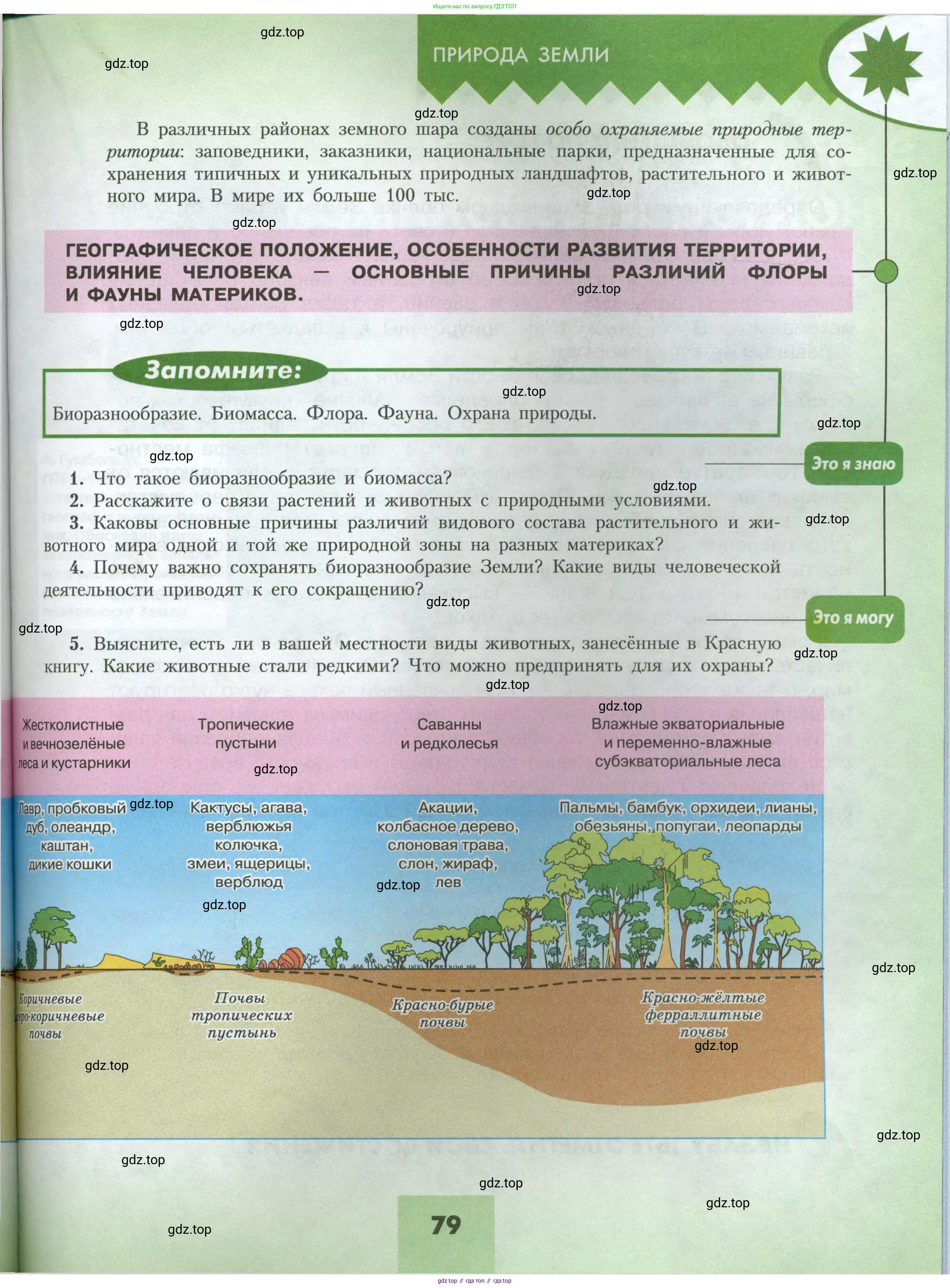 География, 7 класс Учебник, авторы: Алексеев Александр Иванович, Николина Вера Викторовна, Липкина Елена Карловна, Болысов Сергей Иванович, Ачкасова Татьяна Анатольевна, Кузнецова Галина Юрьевна, издательство Просвещение, Москва, 2023, жёлтого цвета, страница 79