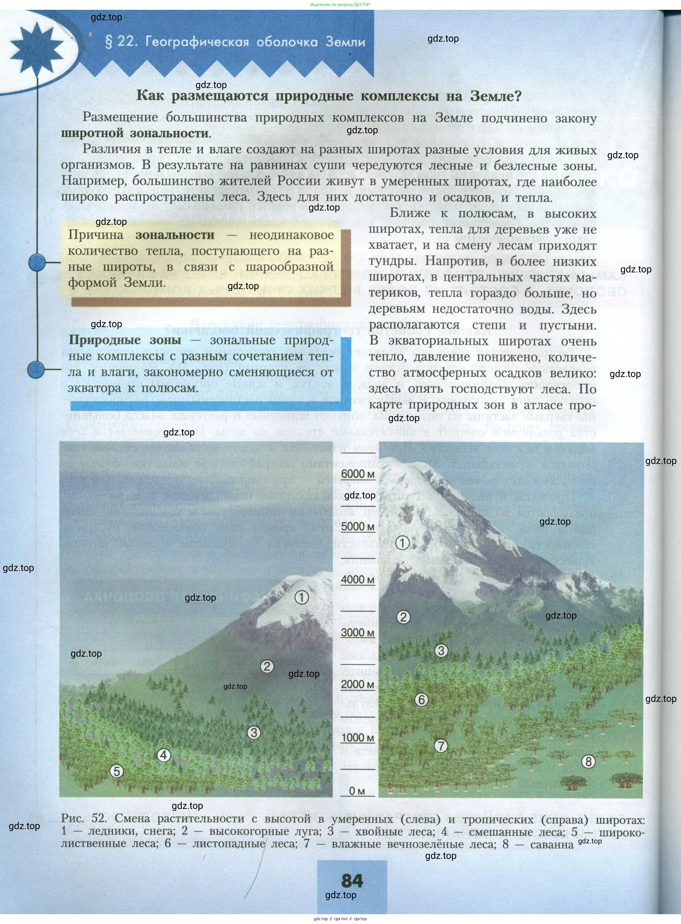 География, 7 класс Учебник, авторы: Алексеев Александр Иванович, Николина Вера Викторовна, Липкина Елена Карловна, Болысов Сергей Иванович, Ачкасова Татьяна Анатольевна, Кузнецова Галина Юрьевна, издательство Просвещение, Москва, 2023, жёлтого цвета, страница 84