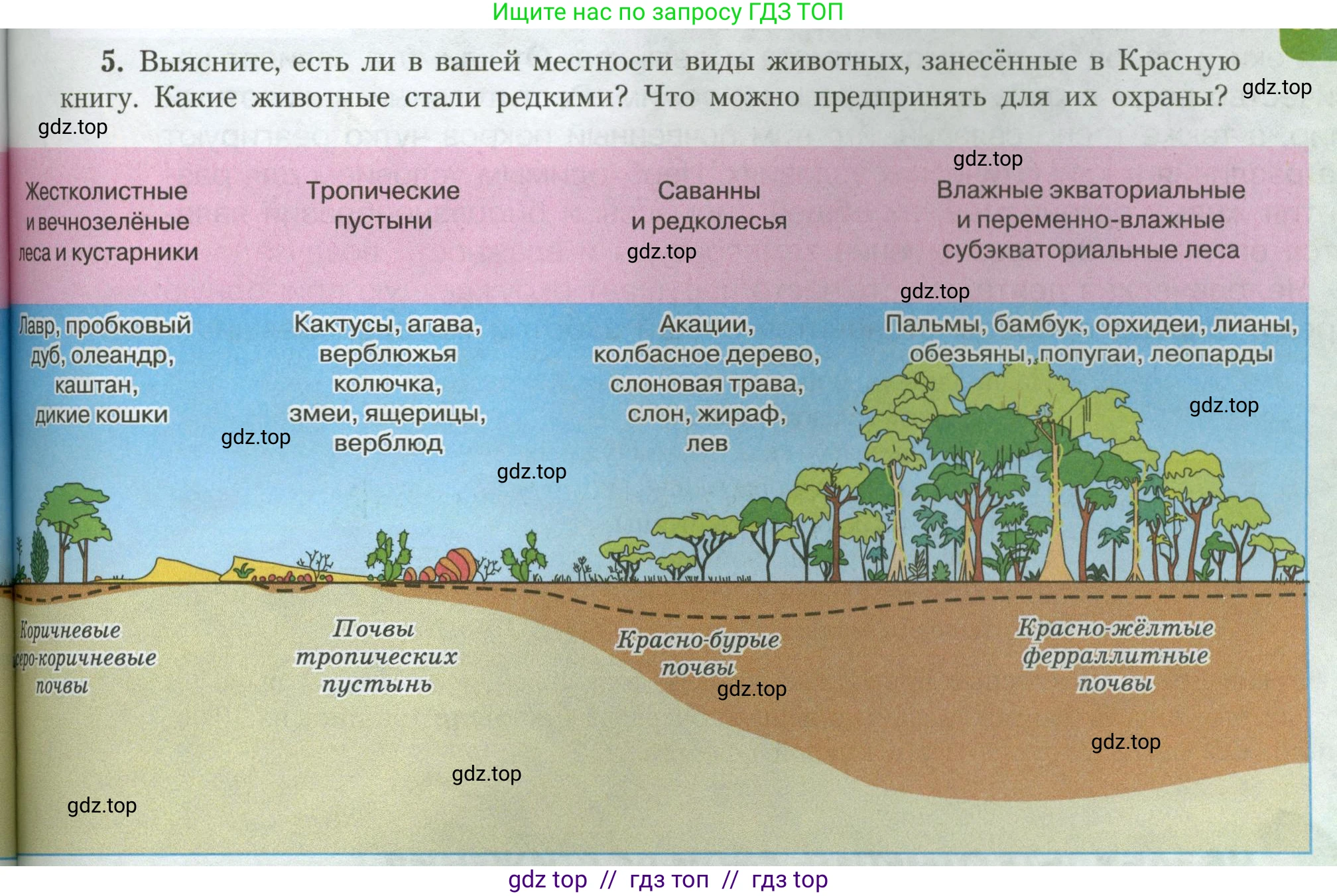 География, 7 класс Учебник, авторы: Алексеев Александр Иванович, Николина Вера Викторовна, Липкина Елена Карловна, Болысов Сергей Иванович, Ачкасова Татьяна Анатольевна, Кузнецова Галина Юрьевна, издательство Просвещение, Москва, 2023, жёлтого цвета, страница 79, номер 5, Условие 2023