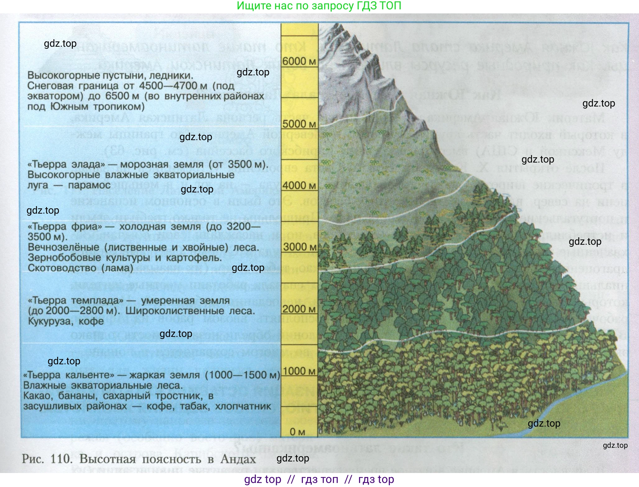 География, 7 класс Учебник, авторы: Алексеев Александр Иванович, Николина Вера Викторовна, Липкина Елена Карловна, Болысов Сергей Иванович, Ачкасова Татьяна Анатольевна, Кузнецова Галина Юрьевна, издательство Просвещение, Москва, 2023, жёлтого цвета, страница 149, номер 5, Условие 2023 (продолжение 2)