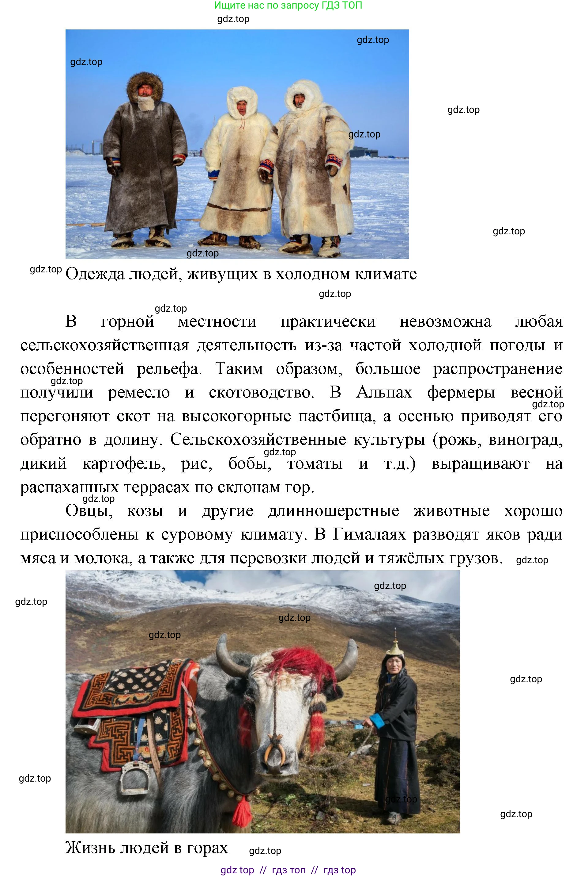 География, 7 класс Учебник, авторы: Алексеев Александр Иванович, Николина Вера Викторовна, Липкина Елена Карловна, Болысов Сергей Иванович, Ачкасова Татьяна Анатольевна, Кузнецова Галина Юрьевна, издательство Просвещение, Москва, 2023, жёлтого цвета, страница 12, номер 8, Решение 2023 (продолжение 4)