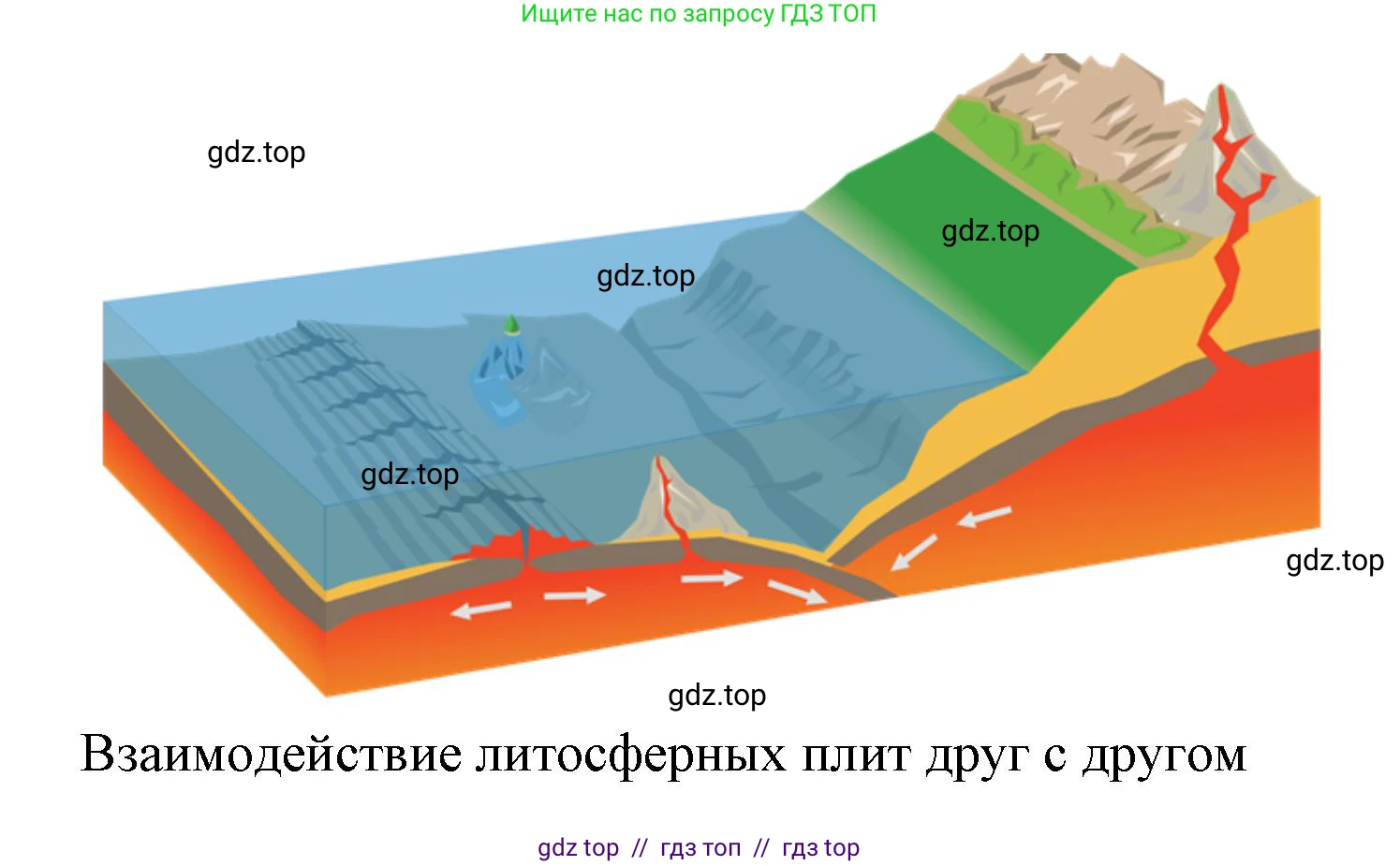 География, 7 класс Учебник, авторы: Алексеев Александр Иванович, Николина Вера Викторовна, Липкина Елена Карловна, Болысов Сергей Иванович, Ачкасова Татьяна Анатольевна, Кузнецова Галина Юрьевна, издательство Просвещение, Москва, 2023, жёлтого цвета, страница 35, номер 7, Решение 2023 (продолжение 2)