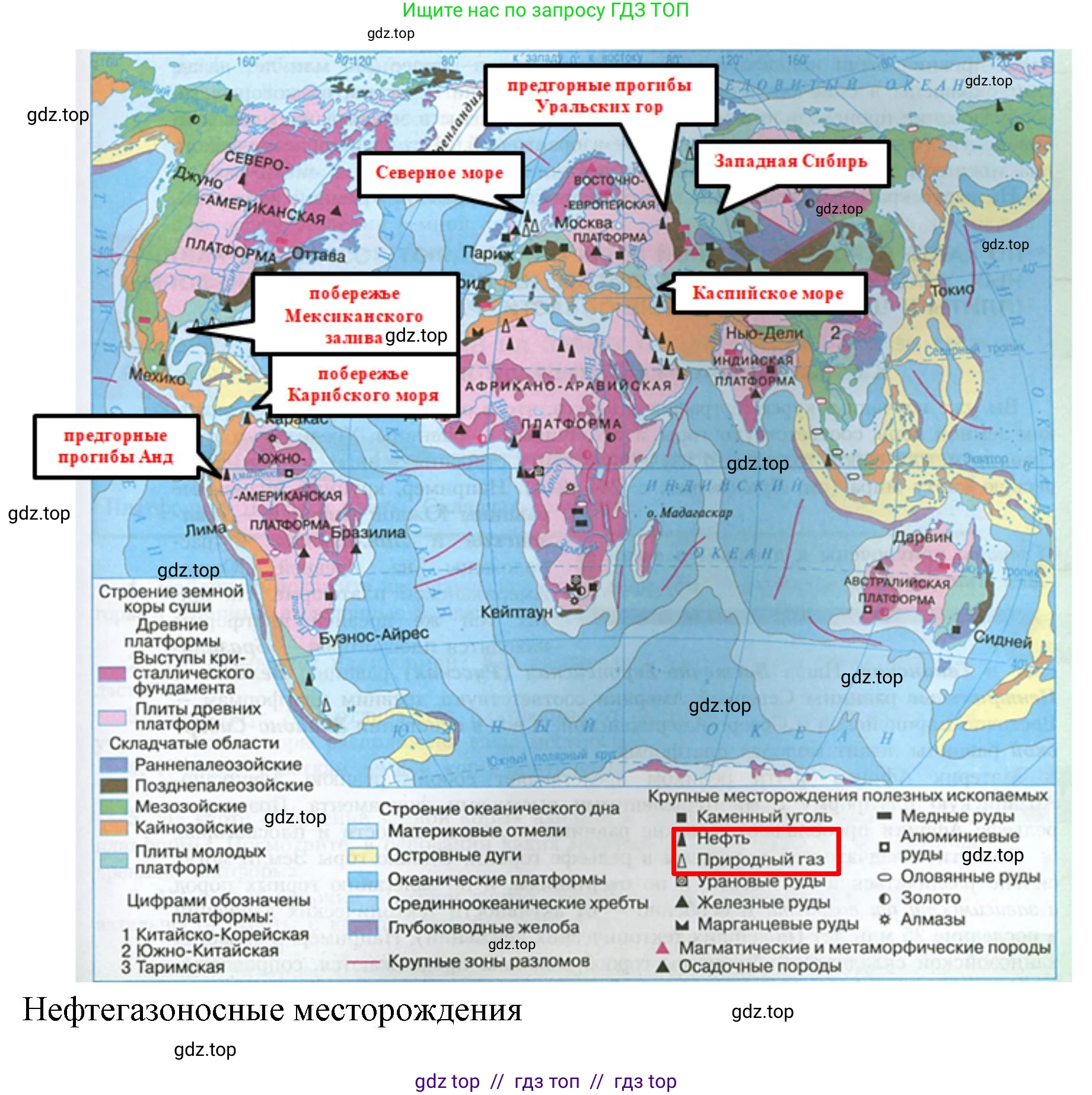 География, 7 класс Учебник, авторы: Алексеев Александр Иванович, Николина Вера Викторовна, Липкина Елена Карловна, Болысов Сергей Иванович, Ачкасова Татьяна Анатольевна, Кузнецова Галина Юрьевна, издательство Просвещение, Москва, 2023, жёлтого цвета, страница 43, номер 5, Решение 2023 (продолжение 2)