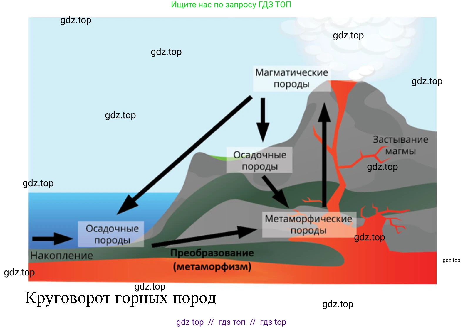 География, 7 класс Учебник, авторы: Алексеев Александр Иванович, Николина Вера Викторовна, Липкина Елена Карловна, Болысов Сергей Иванович, Ачкасова Татьяна Анатольевна, Кузнецова Галина Юрьевна, издательство Просвещение, Москва, 2023, жёлтого цвета, страница 43, номер 8, Решение 2023 (продолжение 3)