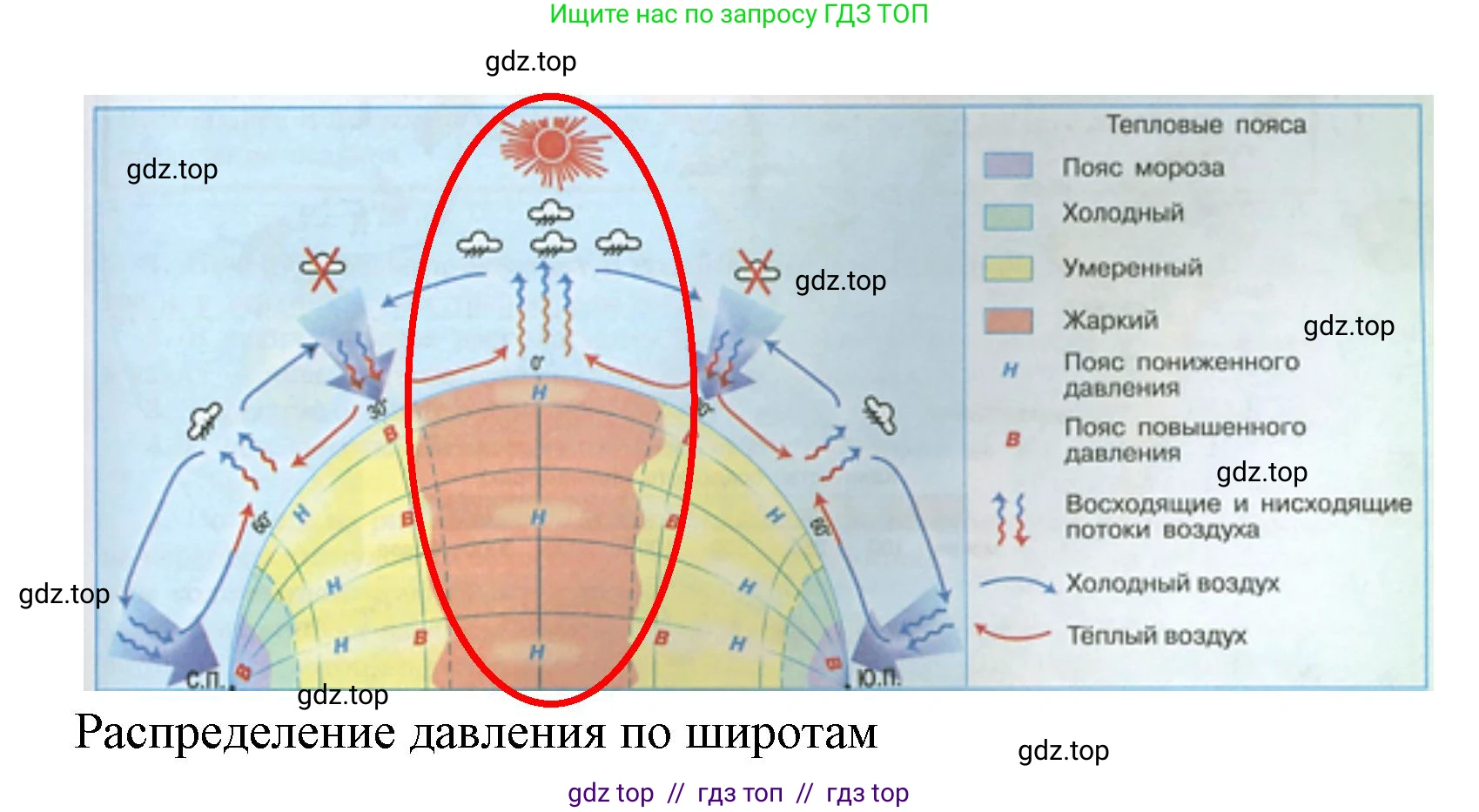 География, 7 класс Учебник, авторы: Алексеев Александр Иванович, Николина Вера Викторовна, Липкина Елена Карловна, Болысов Сергей Иванович, Ачкасова Татьяна Анатольевна, Кузнецова Галина Юрьевна, издательство Просвещение, Москва, 2023, жёлтого цвета, страница 49, номер 1, Решение 2023 (продолжение 2)