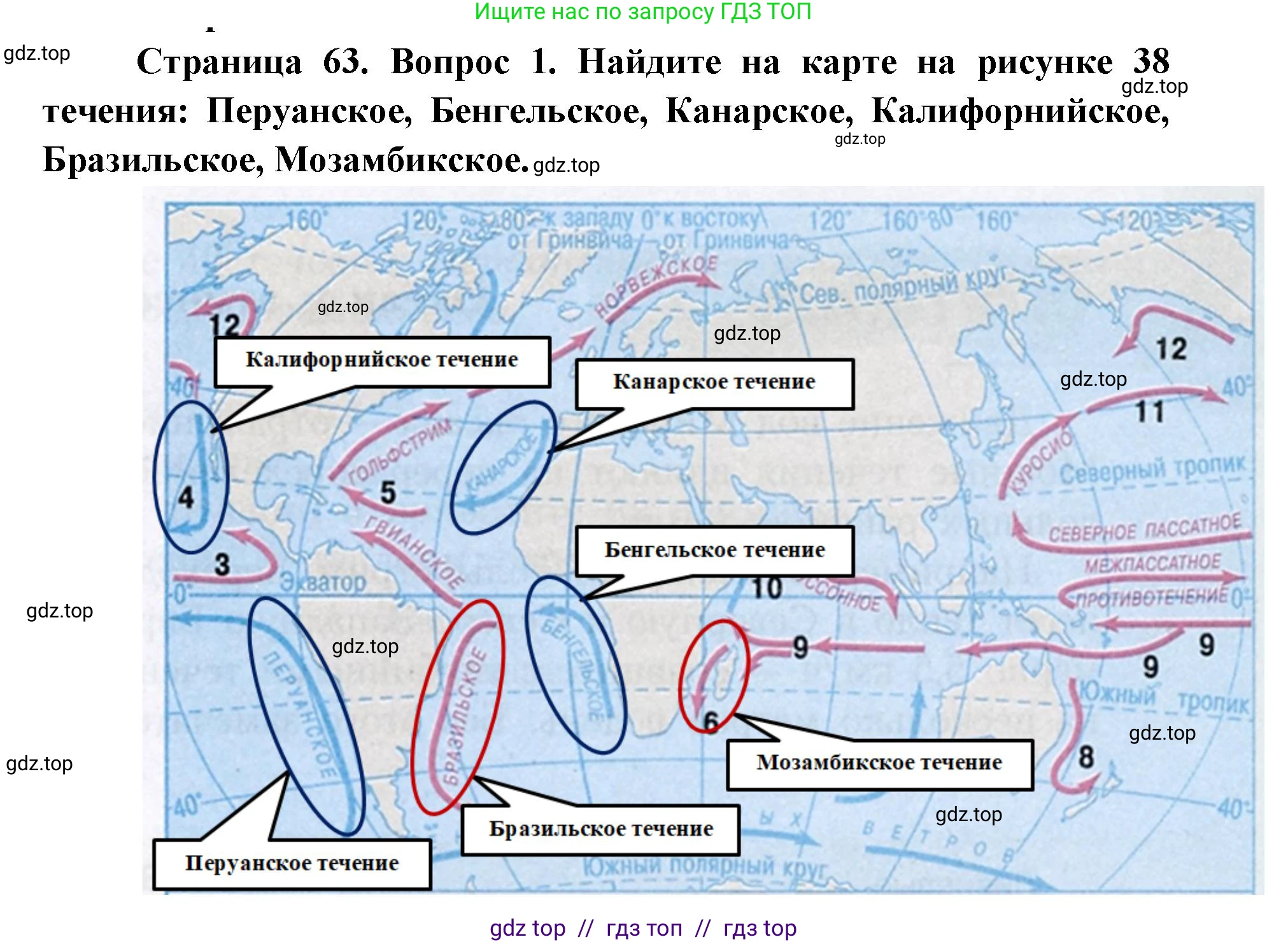 География, 7 класс Учебник, авторы: Алексеев Александр Иванович, Николина Вера Викторовна, Липкина Елена Карловна, Болысов Сергей Иванович, Ачкасова Татьяна Анатольевна, Кузнецова Галина Юрьевна, издательство Просвещение, Москва, 2023, жёлтого цвета, страница 63, номер 1, Решение 2023