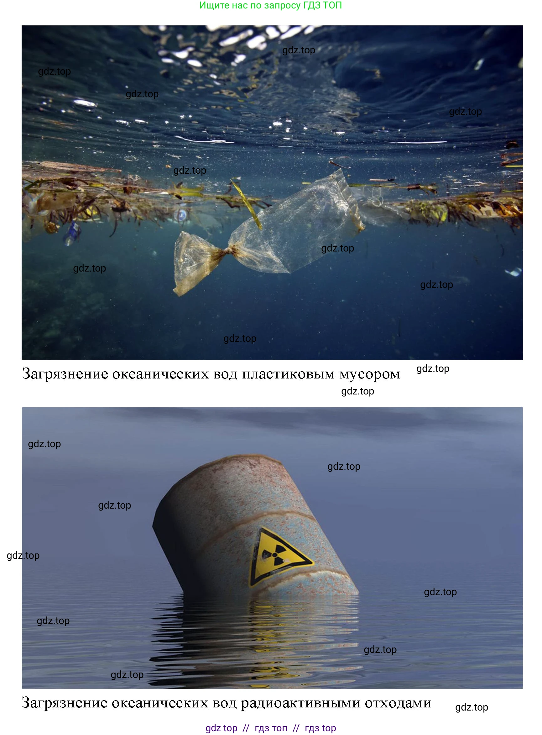 География, 7 класс Учебник, авторы: Алексеев Александр Иванович, Николина Вера Викторовна, Липкина Елена Карловна, Болысов Сергей Иванович, Ачкасова Татьяна Анатольевна, Кузнецова Галина Юрьевна, издательство Просвещение, Москва, 2023, жёлтого цвета, страница 69, номер 4, Решение 2023 (продолжение 2)