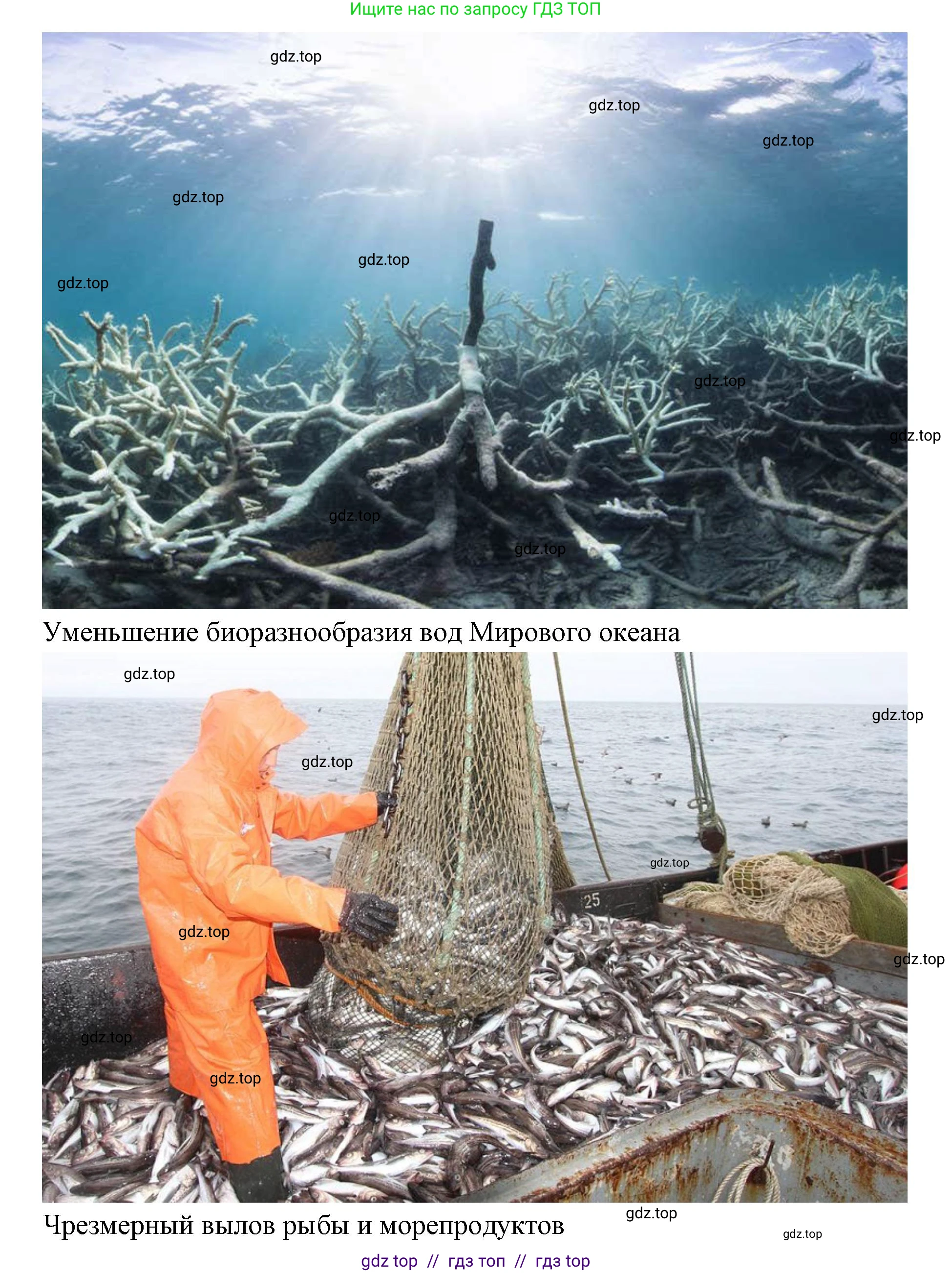 География, 7 класс Учебник, авторы: Алексеев Александр Иванович, Николина Вера Викторовна, Липкина Елена Карловна, Болысов Сергей Иванович, Ачкасова Татьяна Анатольевна, Кузнецова Галина Юрьевна, издательство Просвещение, Москва, 2023, жёлтого цвета, страница 69, номер 4, Решение 2023 (продолжение 3)