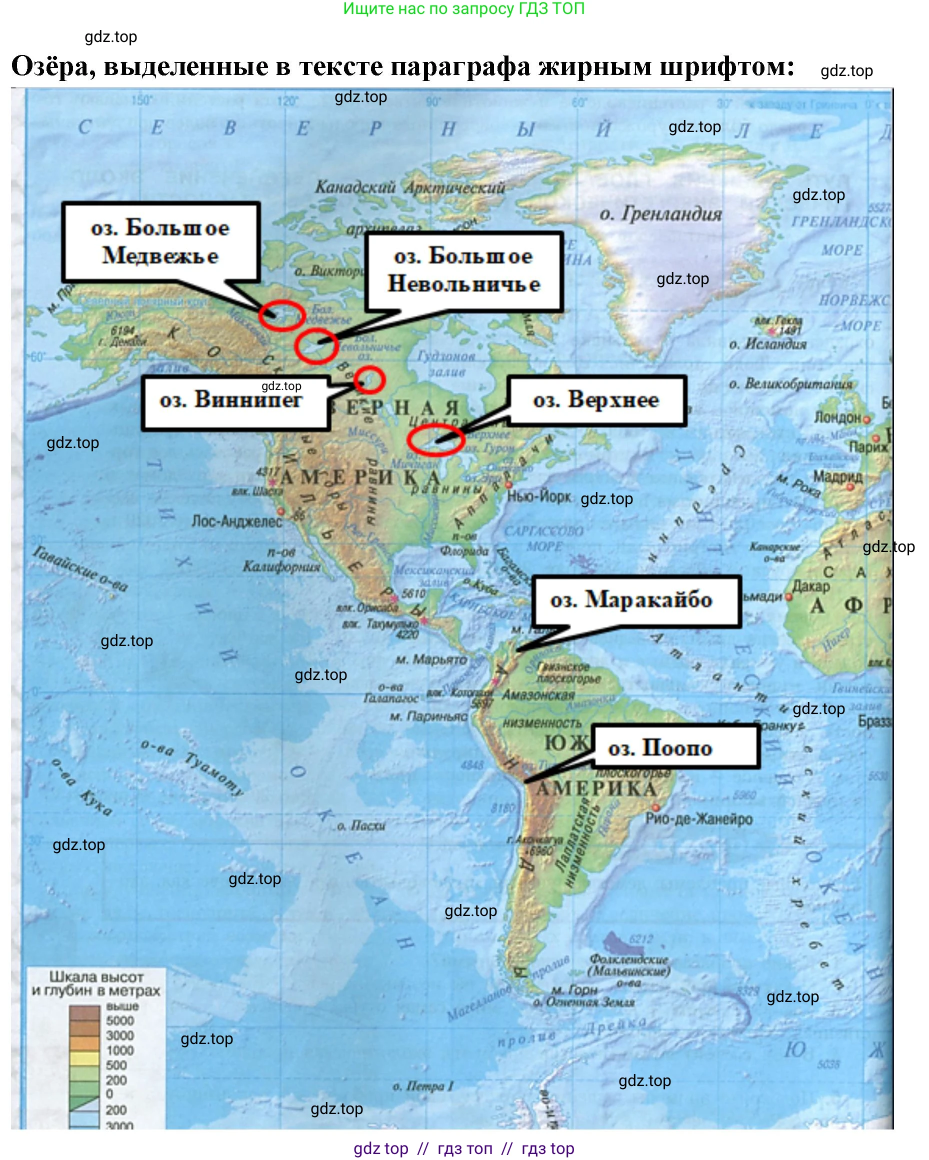 География, 7 класс Учебник, авторы: Алексеев Александр Иванович, Николина Вера Викторовна, Липкина Елена Карловна, Болысов Сергей Иванович, Ачкасова Татьяна Анатольевна, Кузнецова Галина Юрьевна, издательство Просвещение, Москва, 2023, жёлтого цвета, страница 73, номер 1, Решение 2023 (продолжение 4)