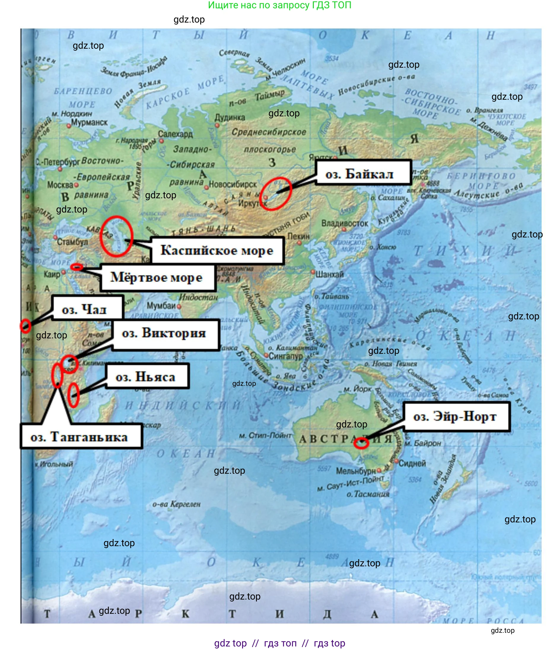 География, 7 класс Учебник, авторы: Алексеев Александр Иванович, Николина Вера Викторовна, Липкина Елена Карловна, Болысов Сергей Иванович, Ачкасова Татьяна Анатольевна, Кузнецова Галина Юрьевна, издательство Просвещение, Москва, 2023, жёлтого цвета, страница 73, номер 1, Решение 2023 (продолжение 5)