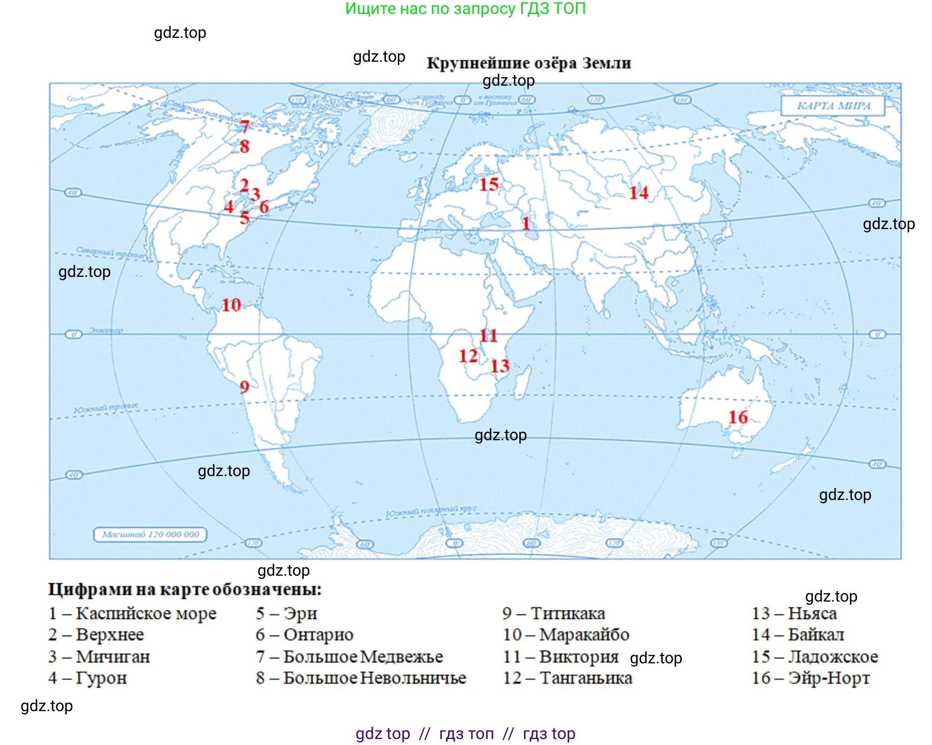 География, 7 класс Учебник, авторы: Алексеев Александр Иванович, Николина Вера Викторовна, Липкина Елена Карловна, Болысов Сергей Иванович, Ачкасова Татьяна Анатольевна, Кузнецова Галина Юрьевна, издательство Просвещение, Москва, 2023, жёлтого цвета, страница 73, номер 7, Решение 2023 (продолжение 2)