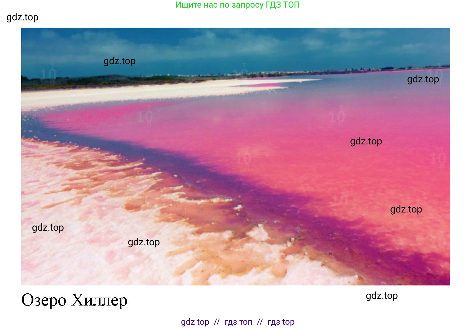 География, 7 класс Учебник, авторы: Алексеев Александр Иванович, Николина Вера Викторовна, Липкина Елена Карловна, Болысов Сергей Иванович, Ачкасова Татьяна Анатольевна, Кузнецова Галина Юрьевна, издательство Просвещение, Москва, 2023, жёлтого цвета, страница 74, номер 1, Решение 2023 (продолжение 12)