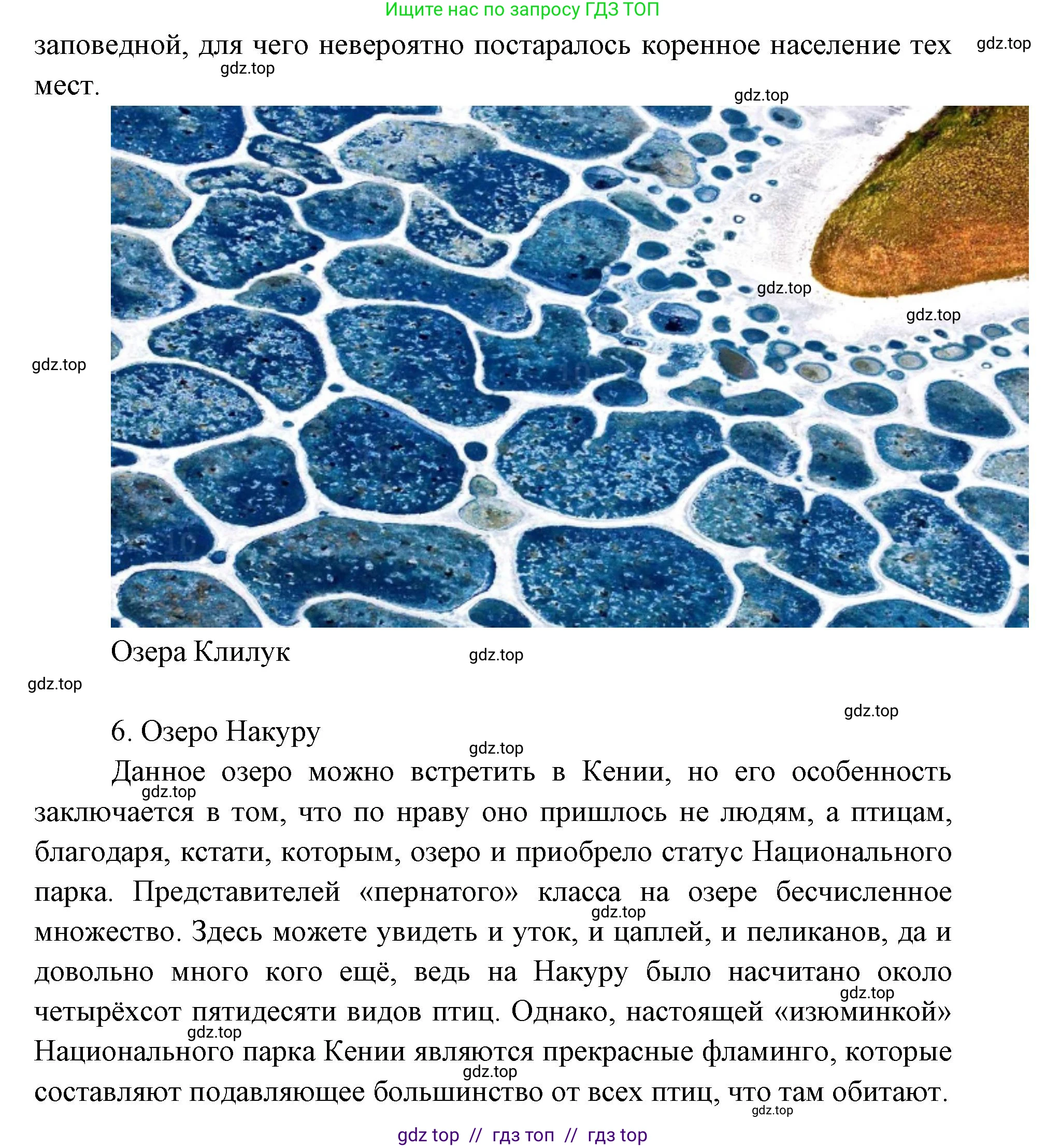 География, 7 класс Учебник, авторы: Алексеев Александр Иванович, Николина Вера Викторовна, Липкина Елена Карловна, Болысов Сергей Иванович, Ачкасова Татьяна Анатольевна, Кузнецова Галина Юрьевна, издательство Просвещение, Москва, 2023, жёлтого цвета, страница 74, номер 1, Решение 2023 (продолжение 8)