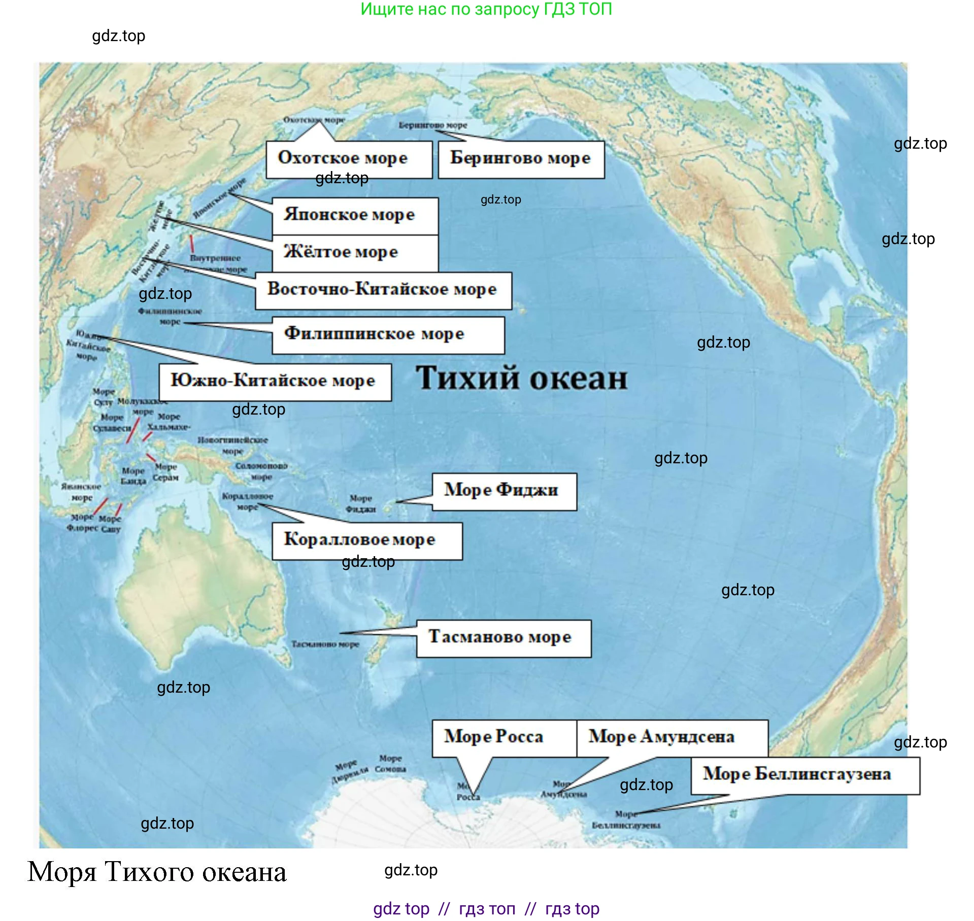 География, 7 класс Учебник, авторы: Алексеев Александр Иванович, Николина Вера Викторовна, Липкина Елена Карловна, Болысов Сергей Иванович, Ачкасова Татьяна Анатольевна, Кузнецова Галина Юрьевна, издательство Просвещение, Москва, 2023, жёлтого цвета, страница 92, номер 1, Решение 2023 (продолжение 3)