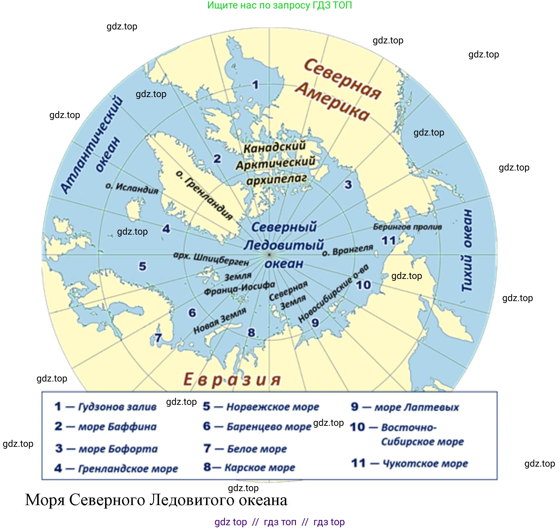 География, 7 класс Учебник, авторы: Алексеев Александр Иванович, Николина Вера Викторовна, Липкина Елена Карловна, Болысов Сергей Иванович, Ачкасова Татьяна Анатольевна, Кузнецова Галина Юрьевна, издательство Просвещение, Москва, 2023, жёлтого цвета, страница 92, номер 1, Решение 2023 (продолжение 4)