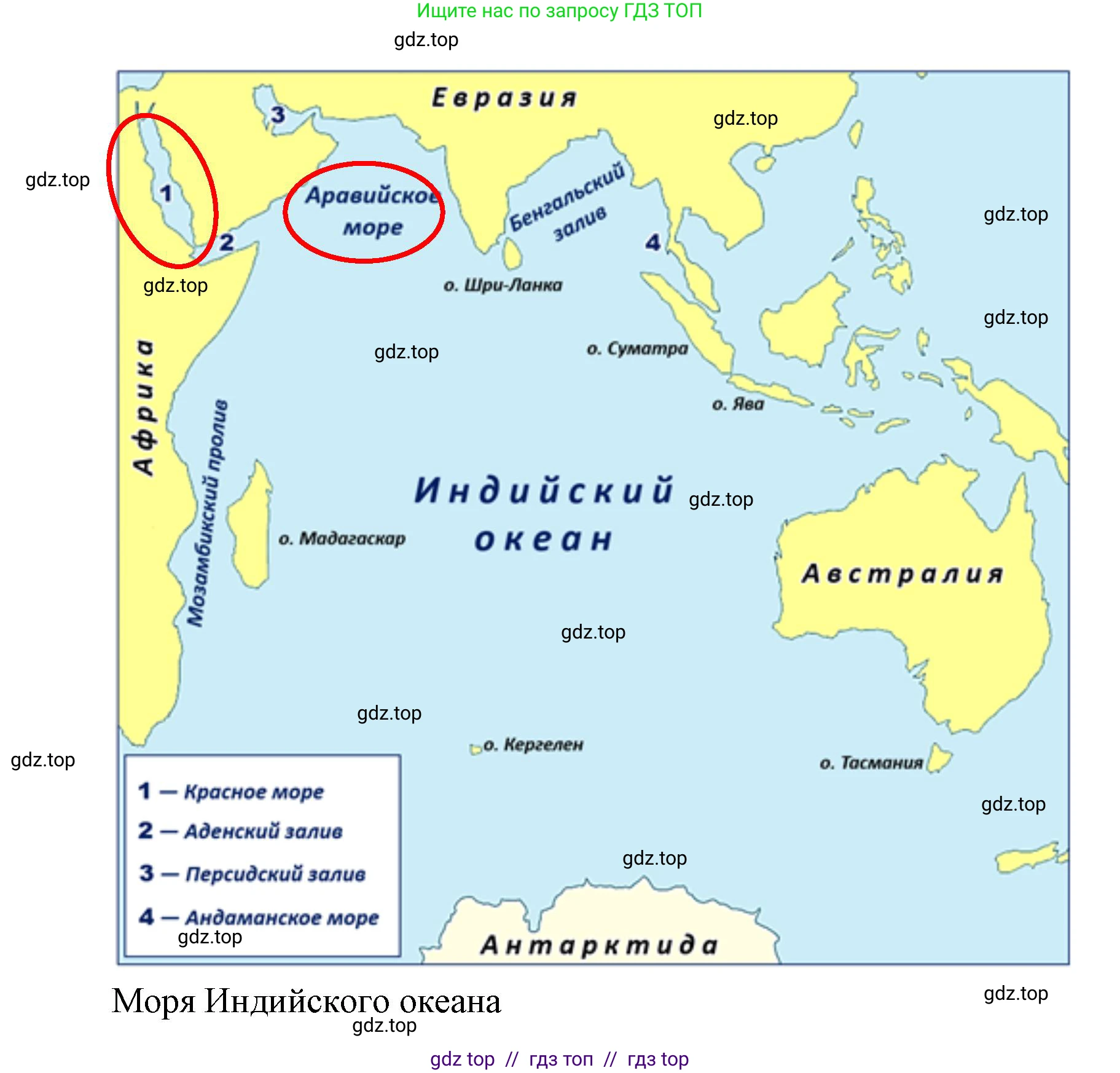 География, 7 класс Учебник, авторы: Алексеев Александр Иванович, Николина Вера Викторовна, Липкина Елена Карловна, Болысов Сергей Иванович, Ачкасова Татьяна Анатольевна, Кузнецова Галина Юрьевна, издательство Просвещение, Москва, 2023, жёлтого цвета, страница 95, номер 1, Решение 2023 (продолжение 2)