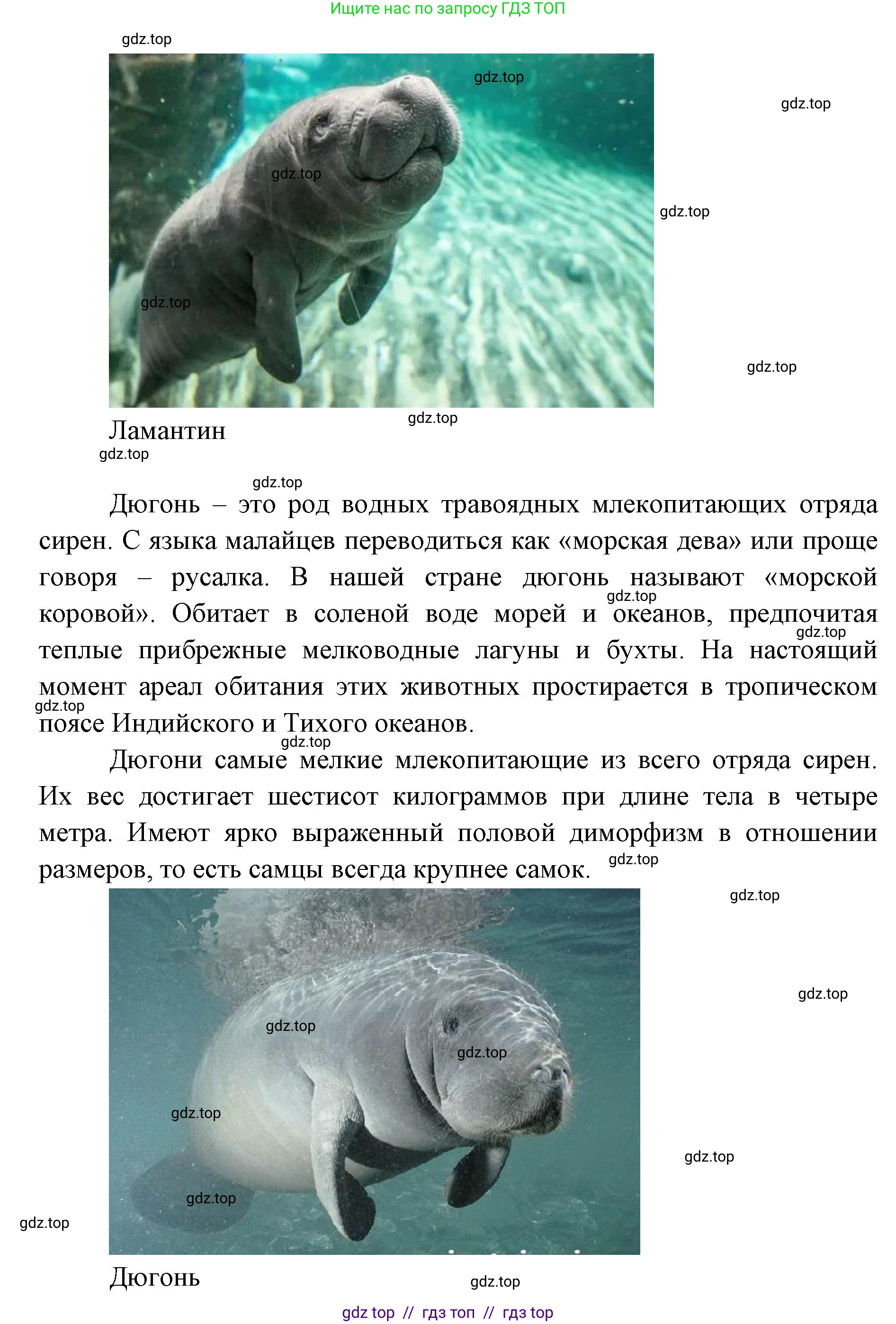 География, 7 класс Учебник, авторы: Алексеев Александр Иванович, Николина Вера Викторовна, Липкина Елена Карловна, Болысов Сергей Иванович, Ачкасова Татьяна Анатольевна, Кузнецова Галина Юрьевна, издательство Просвещение, Москва, 2023, жёлтого цвета, страница 95, номер 8, Решение 2023 (продолжение 2)