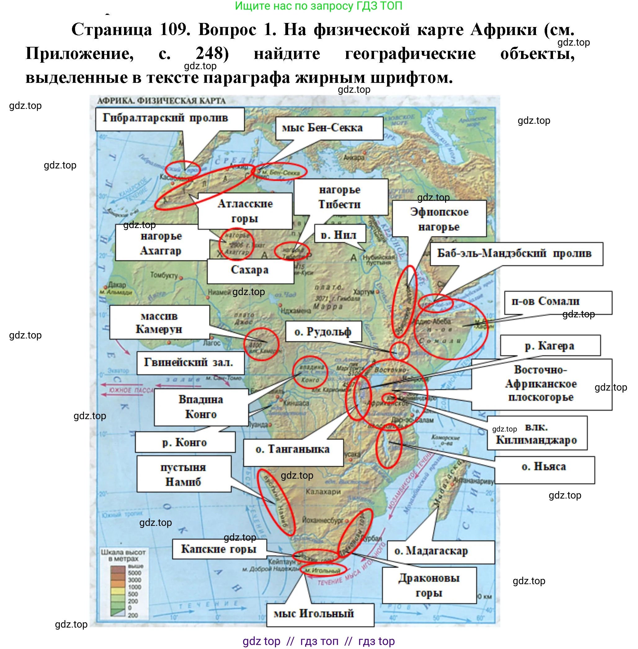 География, 7 класс Учебник, авторы: Алексеев Александр Иванович, Николина Вера Викторовна, Липкина Елена Карловна, Болысов Сергей Иванович, Ачкасова Татьяна Анатольевна, Кузнецова Галина Юрьевна, издательство Просвещение, Москва, 2023, жёлтого цвета, страница 109, номер 1, Решение 2023