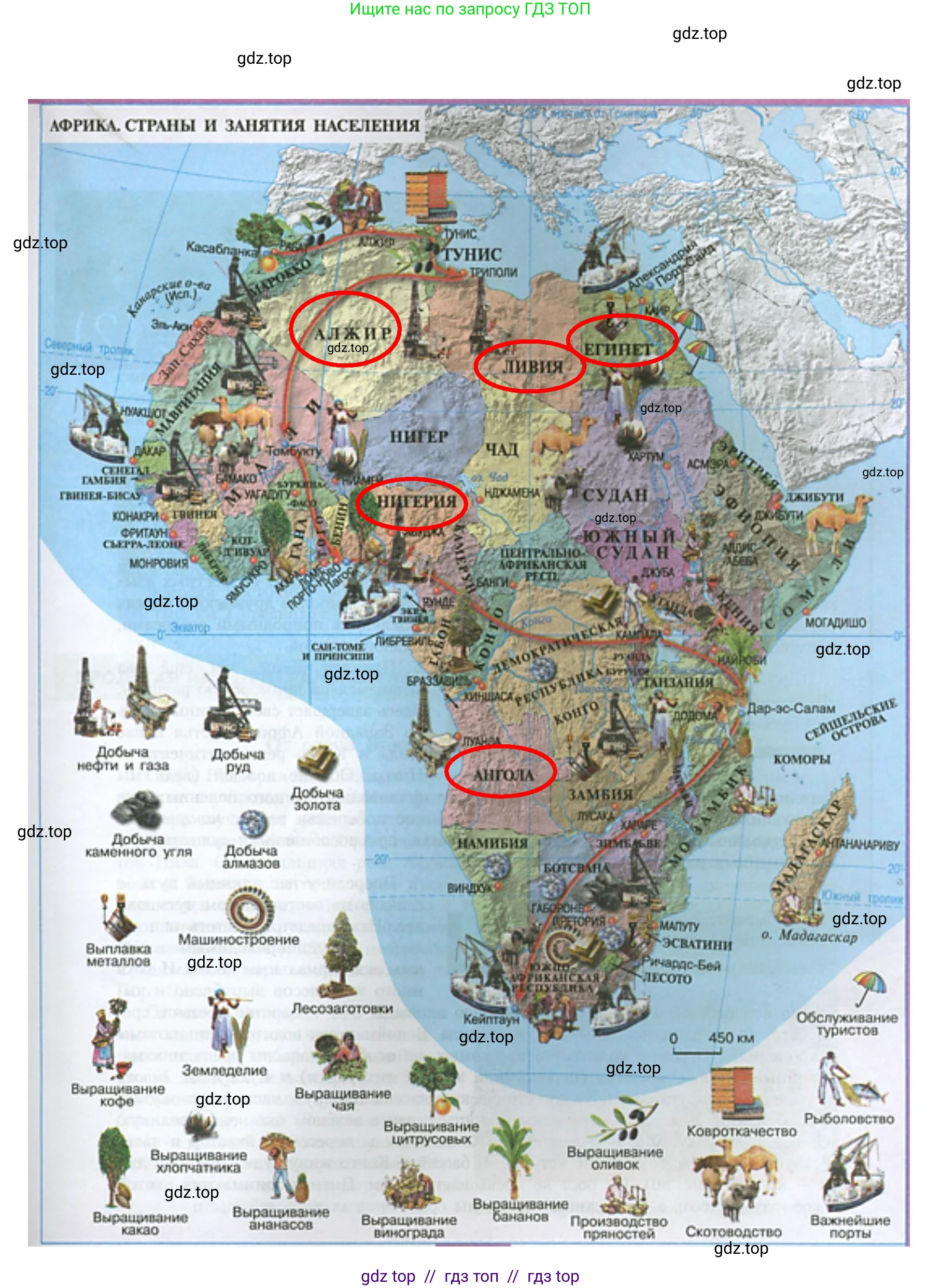 География, 7 класс Учебник, авторы: Алексеев Александр Иванович, Николина Вера Викторовна, Липкина Елена Карловна, Болысов Сергей Иванович, Ачкасова Татьяна Анатольевна, Кузнецова Галина Юрьевна, издательство Просвещение, Москва, 2023, жёлтого цвета, страница 113, номер 8, Решение 2023 (продолжение 2)