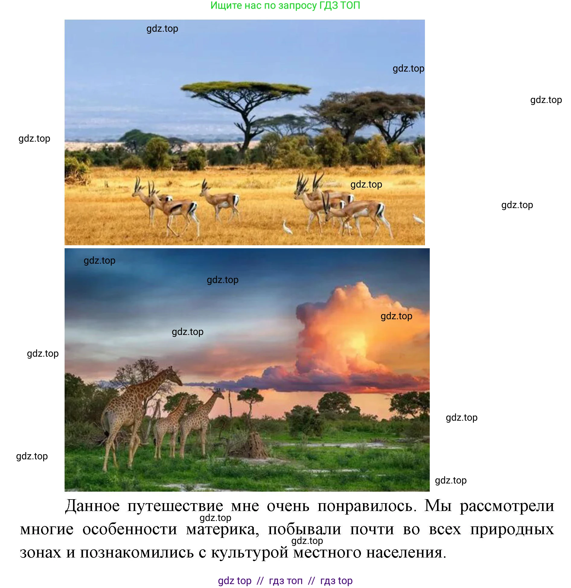 География, 7 класс Учебник, авторы: Алексеев Александр Иванович, Николина Вера Викторовна, Липкина Елена Карловна, Болысов Сергей Иванович, Ачкасова Татьяна Анатольевна, Кузнецова Галина Юрьевна, издательство Просвещение, Москва, 2023, жёлтого цвета, страница 114, Решение 2023 (продолжение 3)