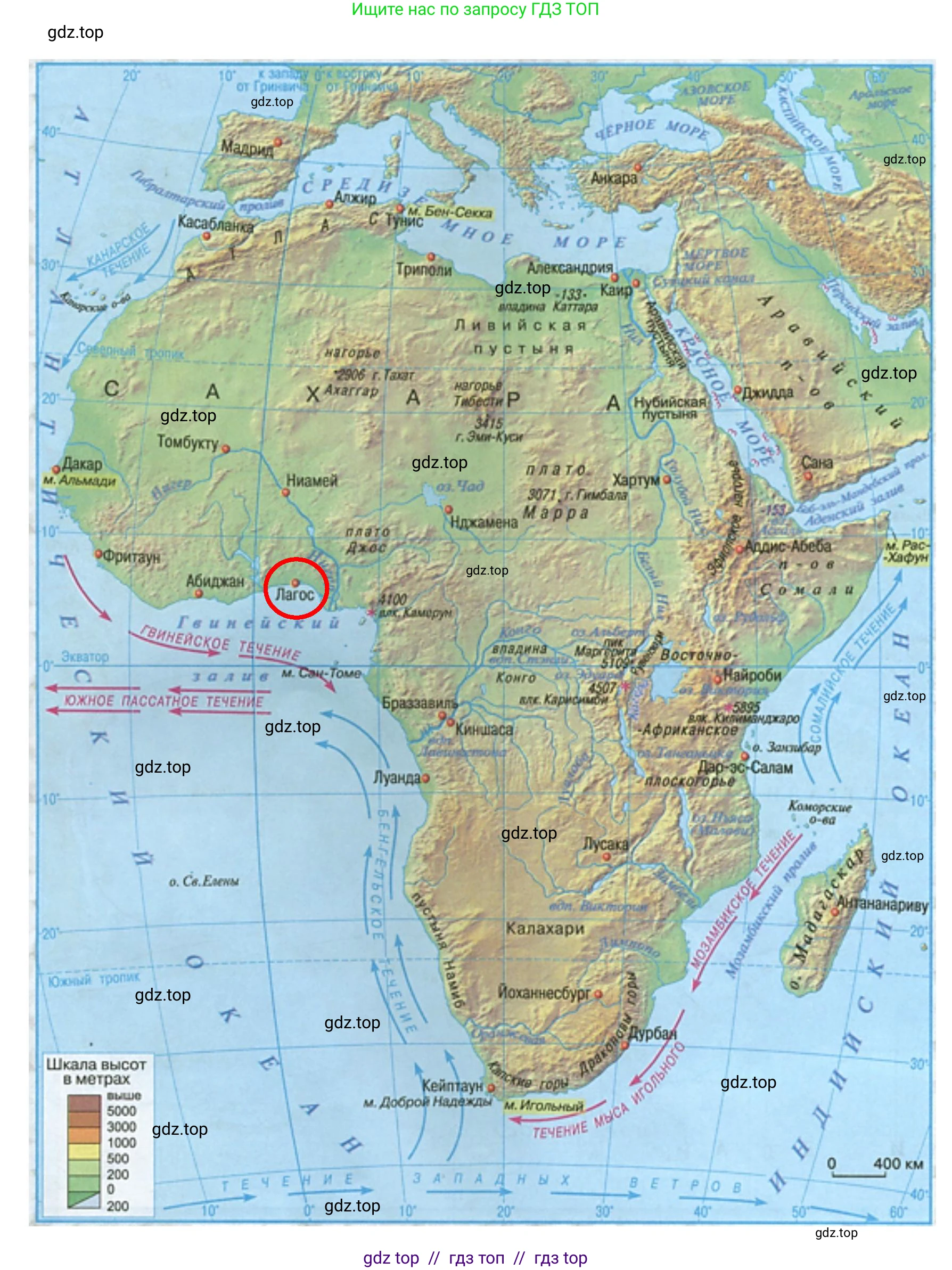 География, 7 класс Учебник, авторы: Алексеев Александр Иванович, Николина Вера Викторовна, Липкина Елена Карловна, Болысов Сергей Иванович, Ачкасова Татьяна Анатольевна, Кузнецова Галина Юрьевна, издательство Просвещение, Москва, 2023, жёлтого цвета, страница 117, номер 3, Решение 2023 (продолжение 2)