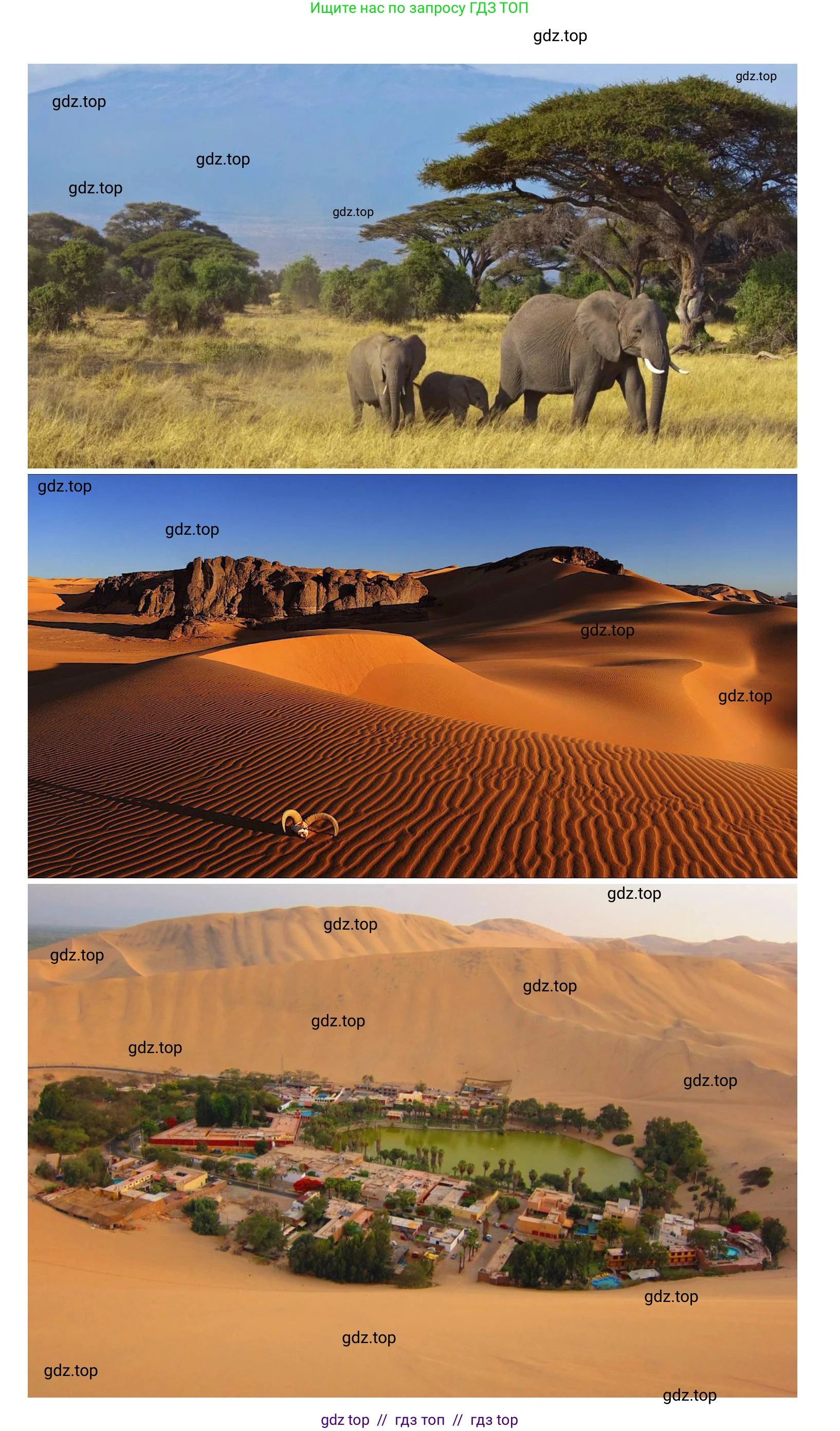 География, 7 класс Учебник, авторы: Алексеев Александр Иванович, Николина Вера Викторовна, Липкина Елена Карловна, Болысов Сергей Иванович, Ачкасова Татьяна Анатольевна, Кузнецова Галина Юрьевна, издательство Просвещение, Москва, 2023, жёлтого цвета, страница 117, номер 4, Решение 2023 (продолжение 3)