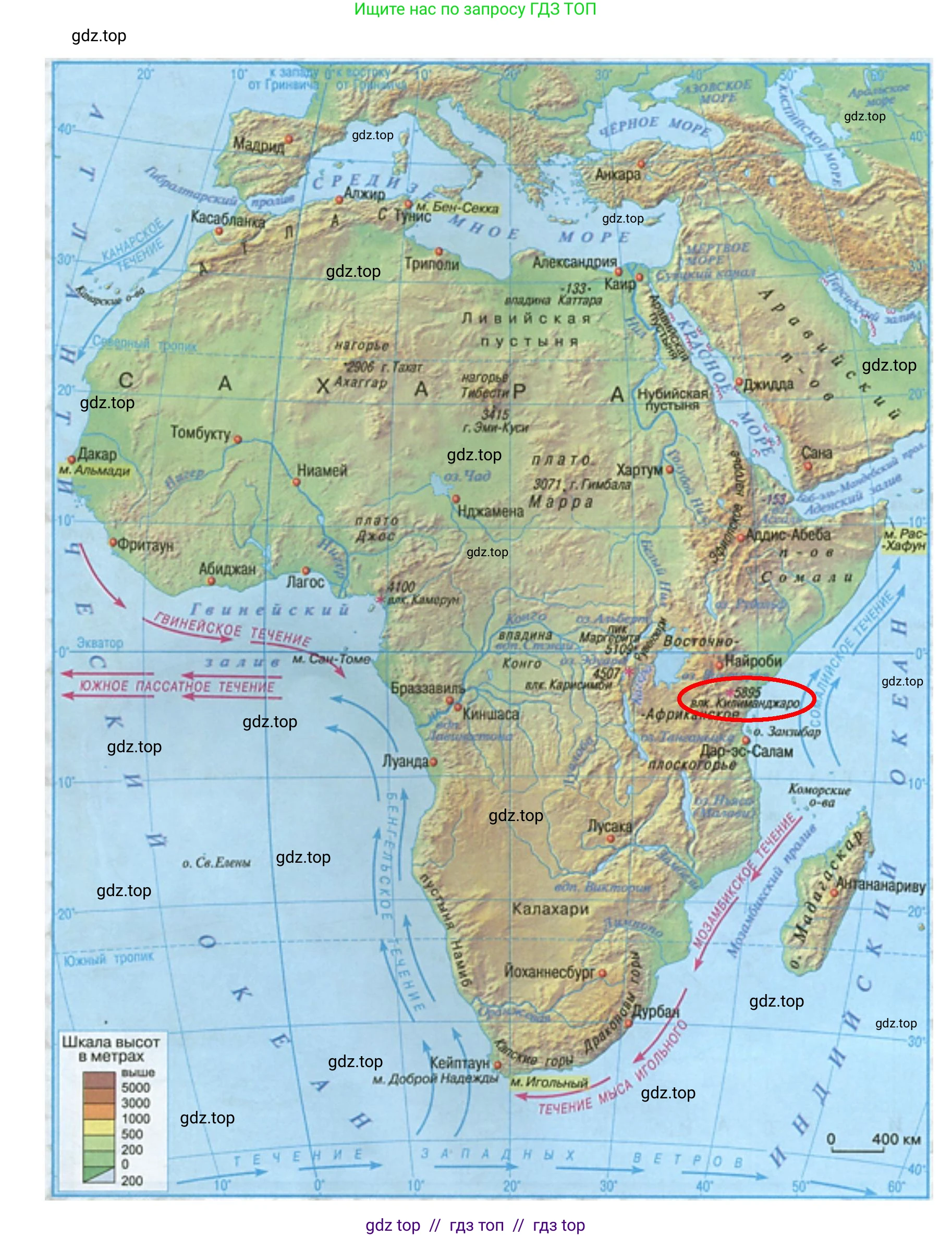 География, 7 класс Учебник, авторы: Алексеев Александр Иванович, Николина Вера Викторовна, Липкина Елена Карловна, Болысов Сергей Иванович, Ачкасова Татьяна Анатольевна, Кузнецова Галина Юрьевна, издательство Просвещение, Москва, 2023, жёлтого цвета, страница 123, номер 1, Решение 2023 (продолжение 2)