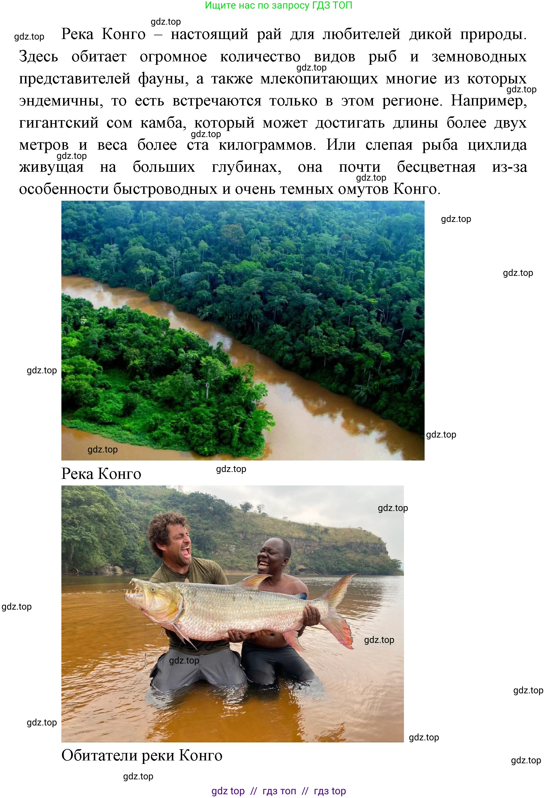 География, 7 класс Учебник, авторы: Алексеев Александр Иванович, Николина Вера Викторовна, Липкина Елена Карловна, Болысов Сергей Иванович, Ачкасова Татьяна Анатольевна, Кузнецова Галина Юрьевна, издательство Просвещение, Москва, 2023, жёлтого цвета, страница 123, номер 5, Решение 2023 (продолжение 3)