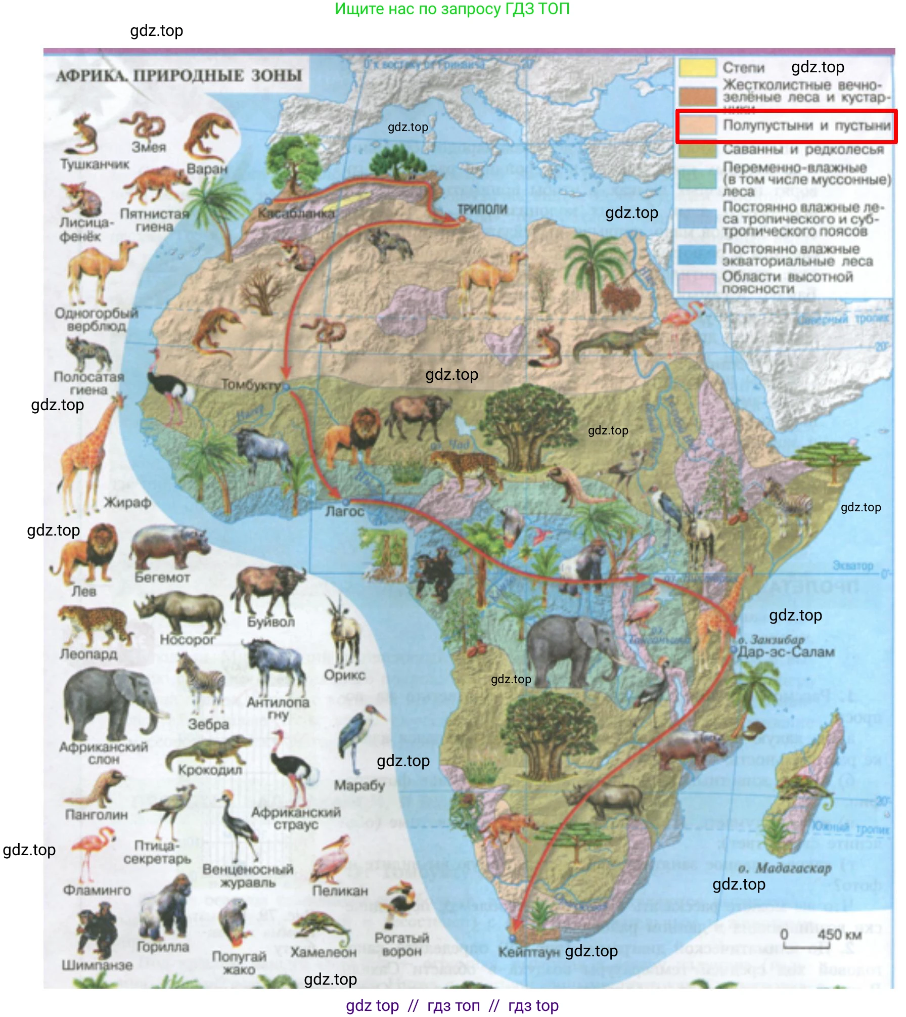 География, 7 класс Учебник, авторы: Алексеев Александр Иванович, Николина Вера Викторовна, Липкина Елена Карловна, Болысов Сергей Иванович, Ачкасова Татьяна Анатольевна, Кузнецова Галина Юрьевна, издательство Просвещение, Москва, 2023, жёлтого цвета, страница 127, номер 6, Решение 2023 (продолжение 2)