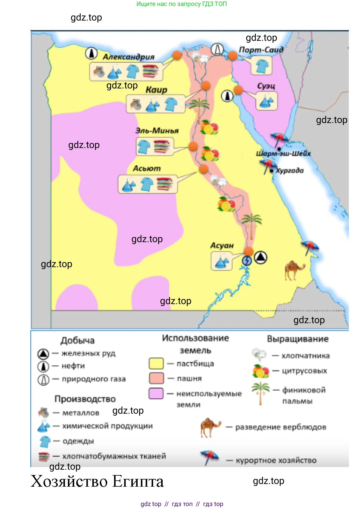 География, 7 класс Учебник, авторы: Алексеев Александр Иванович, Николина Вера Викторовна, Липкина Елена Карловна, Болысов Сергей Иванович, Ачкасова Татьяна Анатольевна, Кузнецова Галина Юрьевна, издательство Просвещение, Москва, 2023, жёлтого цвета, страница 127, номер 8, Решение 2023 (продолжение 2)