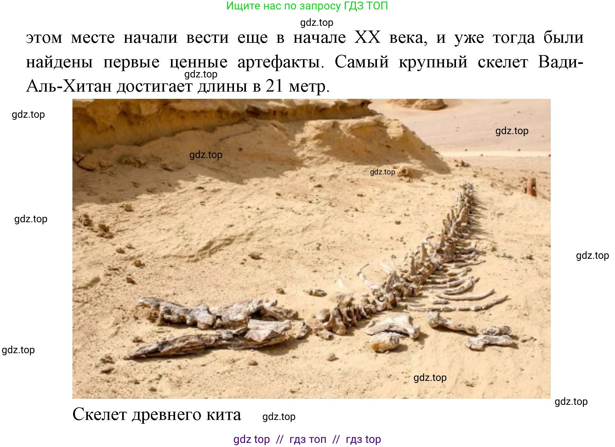 География, 7 класс Учебник, авторы: Алексеев Александр Иванович, Николина Вера Викторовна, Липкина Елена Карловна, Болысов Сергей Иванович, Ачкасова Татьяна Анатольевна, Кузнецова Галина Юрьевна, издательство Просвещение, Москва, 2023, жёлтого цвета, страница 127, номер 9, Решение 2023 (продолжение 4)