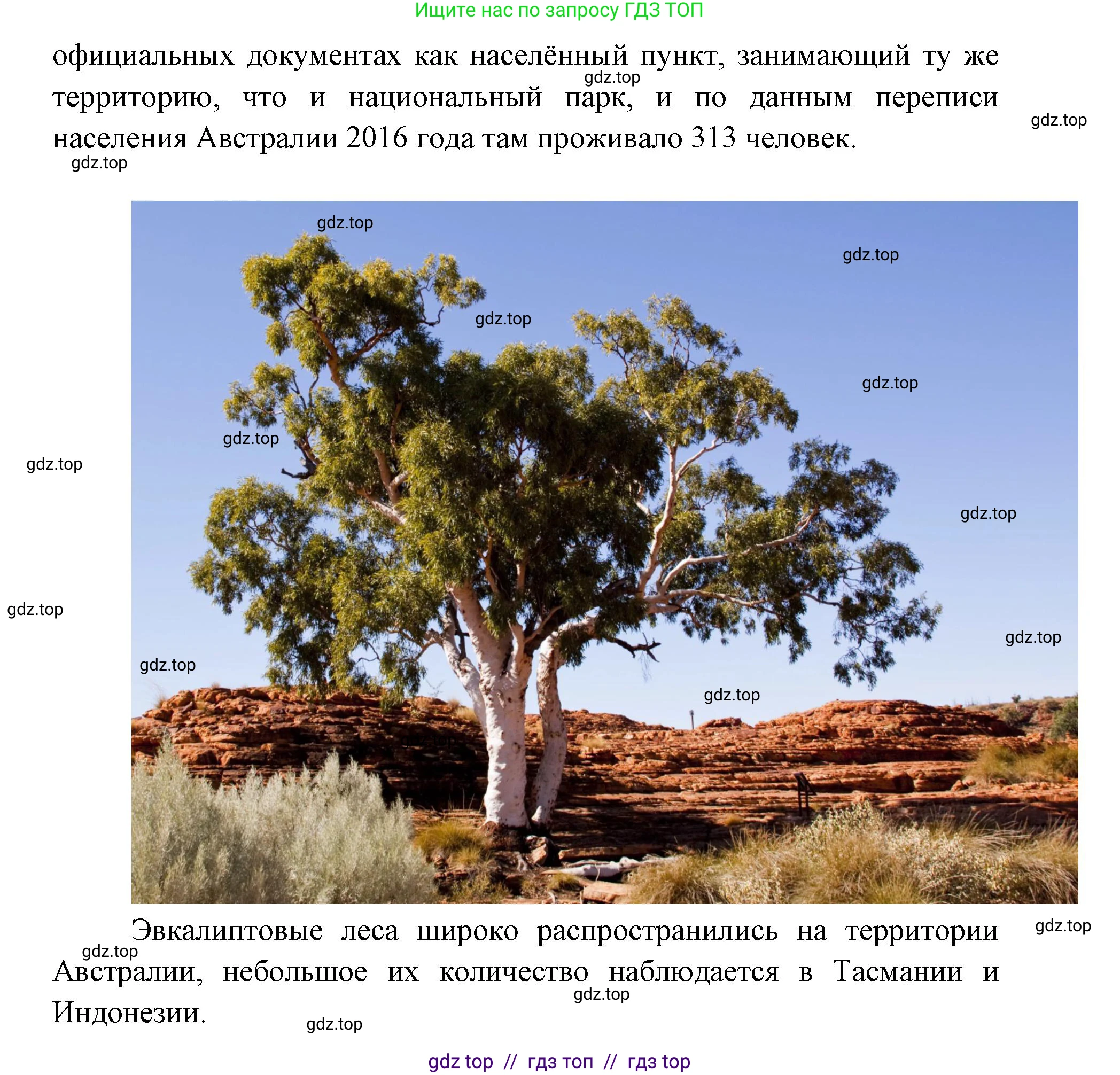 География, 7 класс Учебник, авторы: Алексеев Александр Иванович, Николина Вера Викторовна, Липкина Елена Карловна, Болысов Сергей Иванович, Ачкасова Татьяна Анатольевна, Кузнецова Галина Юрьевна, издательство Просвещение, Москва, 2023, жёлтого цвета, страница 137, номер 3, Решение 2023 (продолжение 4)