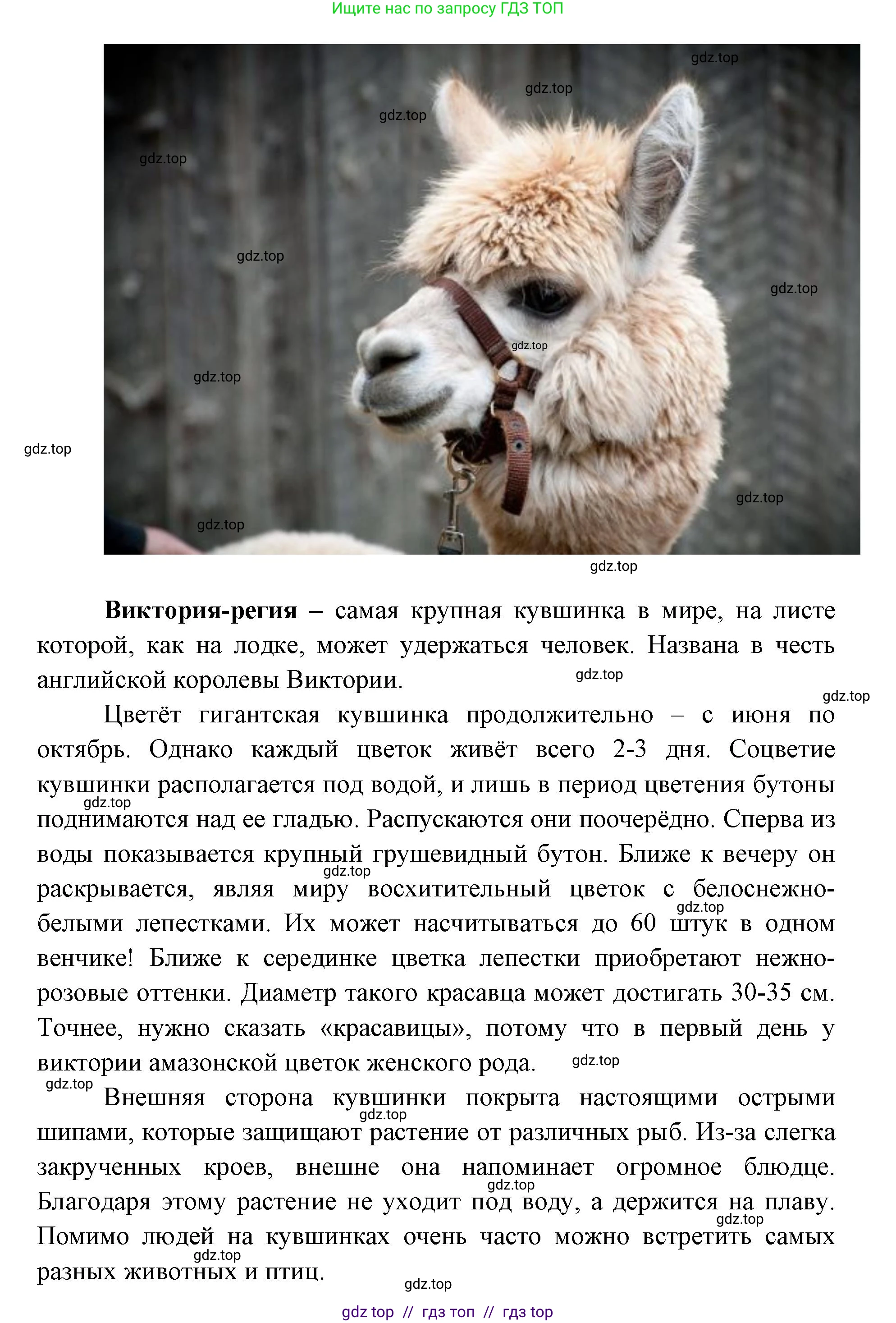География, 7 класс Учебник, авторы: Алексеев Александр Иванович, Николина Вера Викторовна, Липкина Елена Карловна, Болысов Сергей Иванович, Ачкасова Татьяна Анатольевна, Кузнецова Галина Юрьевна, издательство Просвещение, Москва, 2023, жёлтого цвета, страница 157, номер 3, Решение 2023 (продолжение 3)