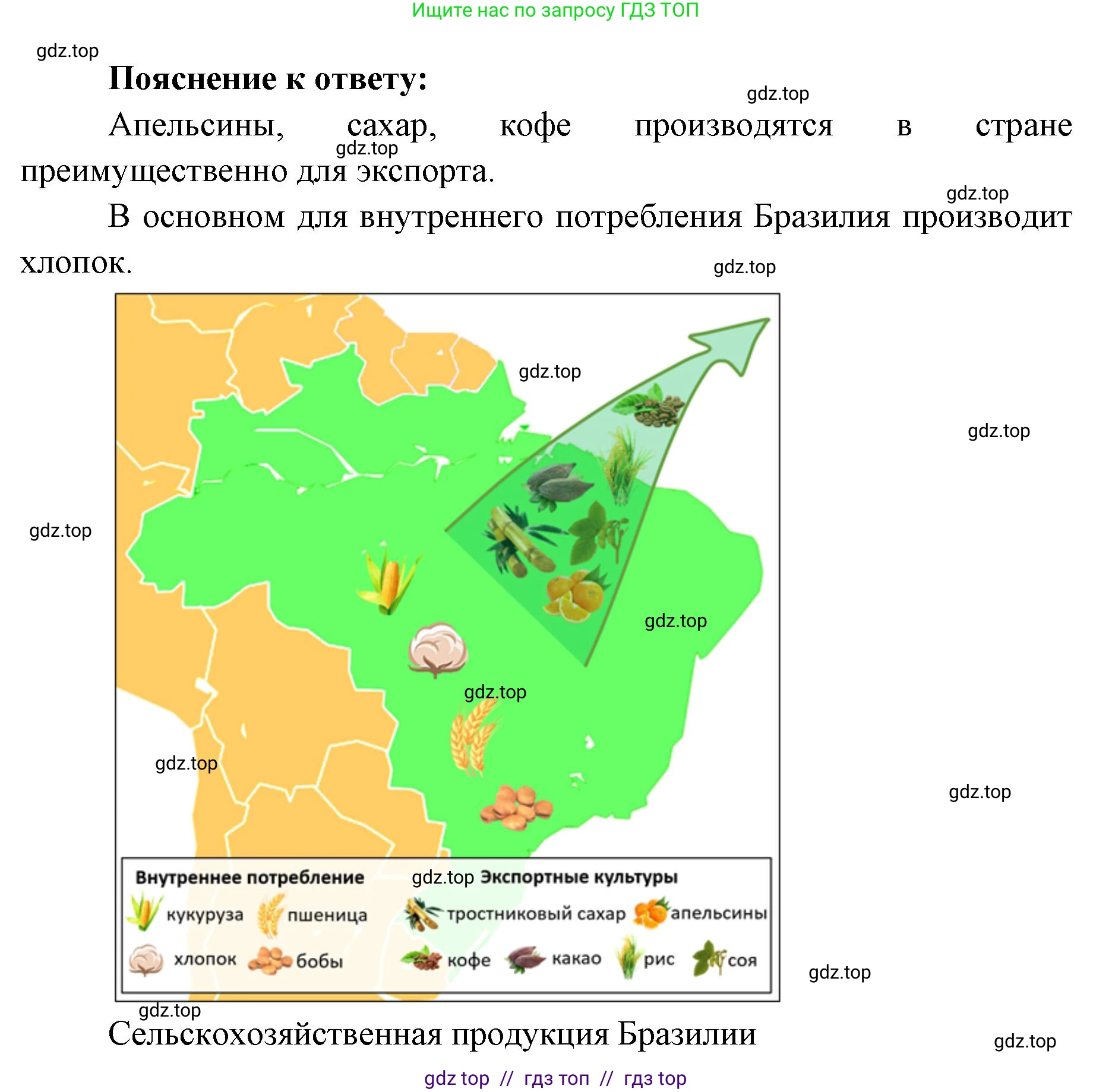 География, 7 класс Учебник, авторы: Алексеев Александр Иванович, Николина Вера Викторовна, Липкина Елена Карловна, Болысов Сергей Иванович, Ачкасова Татьяна Анатольевна, Кузнецова Галина Юрьевна, издательство Просвещение, Москва, 2023, жёлтого цвета, страница 167, номер 5, Решение 2023 (продолжение 2)