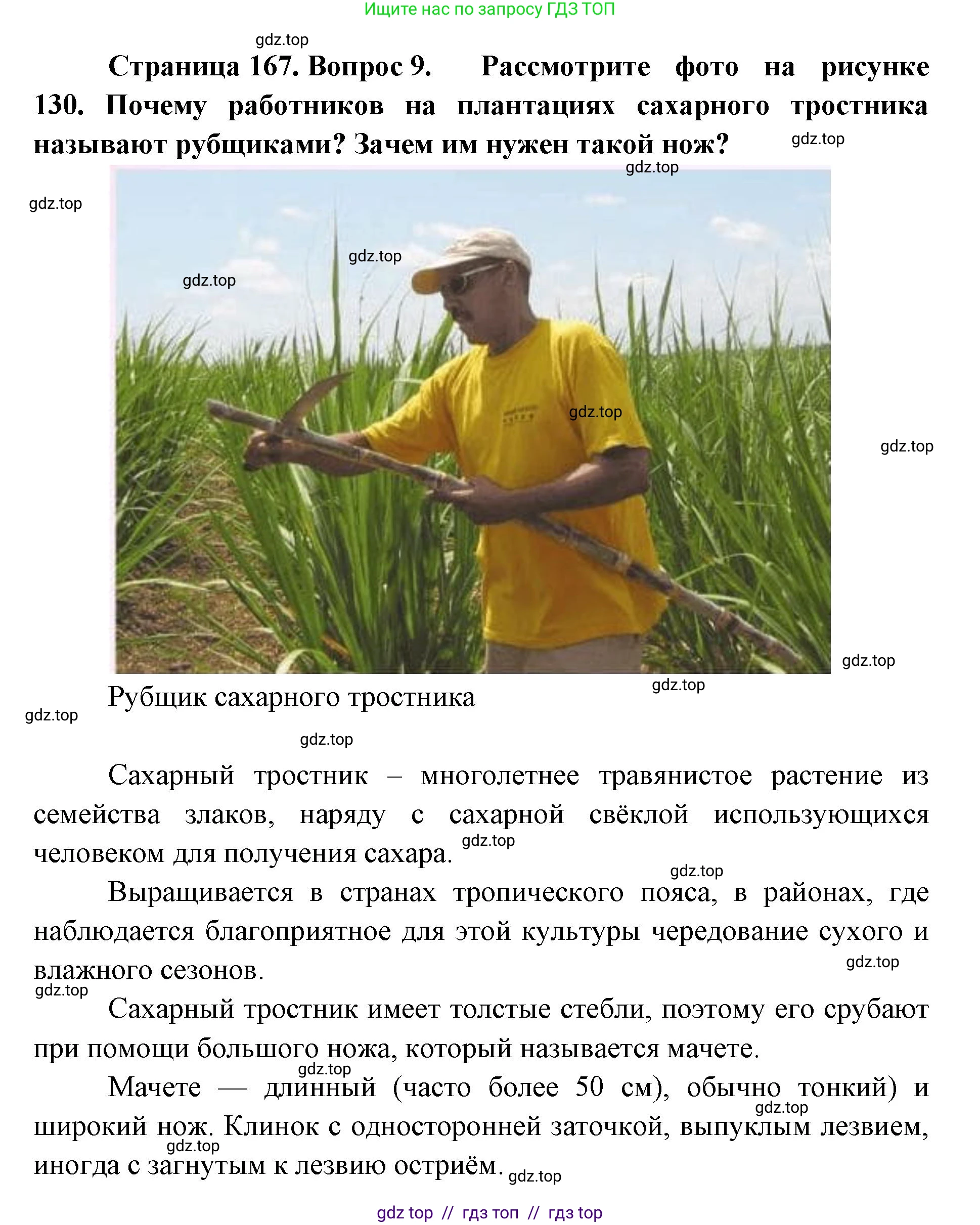 География, 7 класс Учебник, авторы: Алексеев Александр Иванович, Николина Вера Викторовна, Липкина Елена Карловна, Болысов Сергей Иванович, Ачкасова Татьяна Анатольевна, Кузнецова Галина Юрьевна, издательство Просвещение, Москва, 2023, жёлтого цвета, страница 167, номер 9, Решение 2023