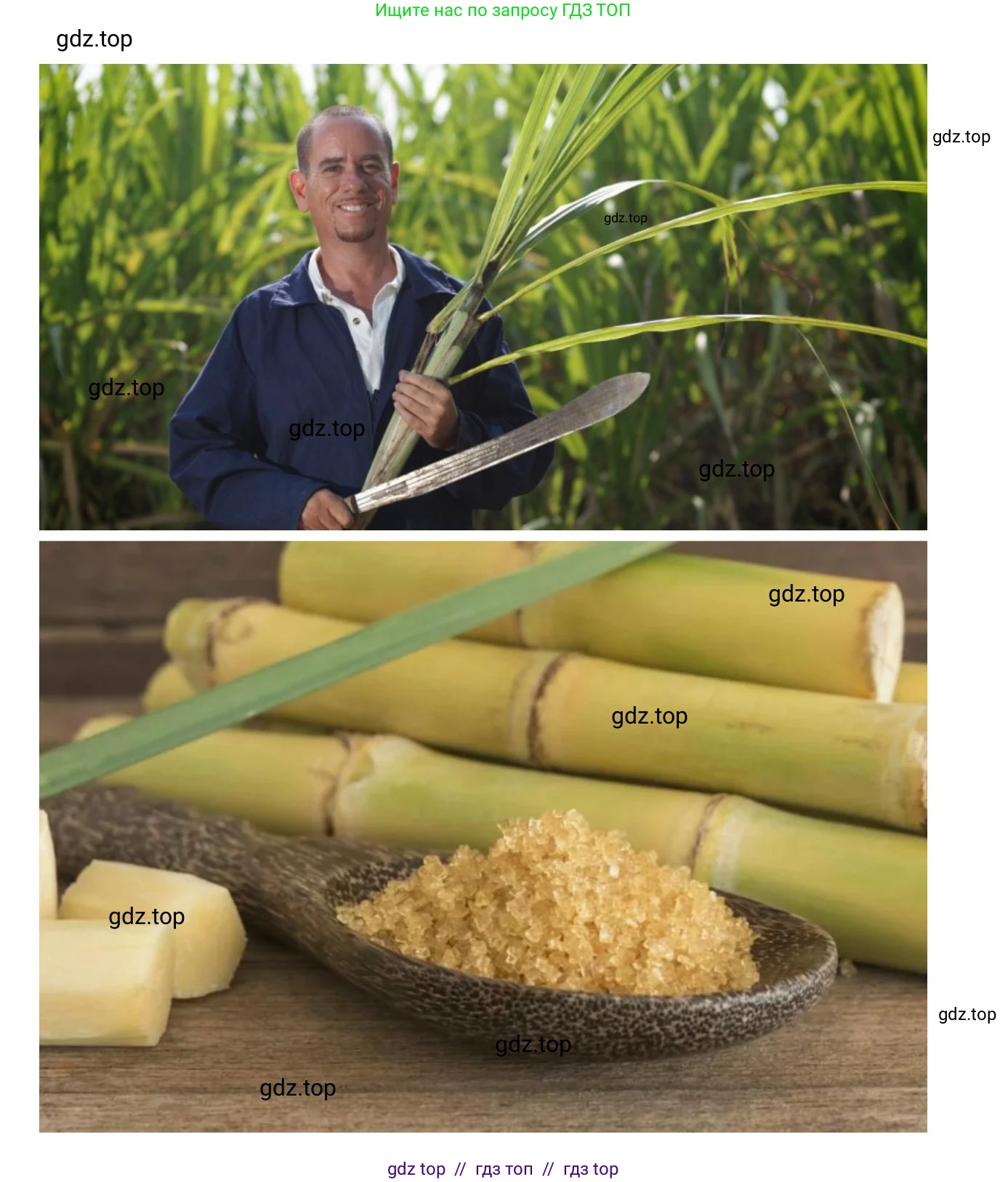 География, 7 класс Учебник, авторы: Алексеев Александр Иванович, Николина Вера Викторовна, Липкина Елена Карловна, Болысов Сергей Иванович, Ачкасова Татьяна Анатольевна, Кузнецова Галина Юрьевна, издательство Просвещение, Москва, 2023, жёлтого цвета, страница 167, номер 9, Решение 2023 (продолжение 2)