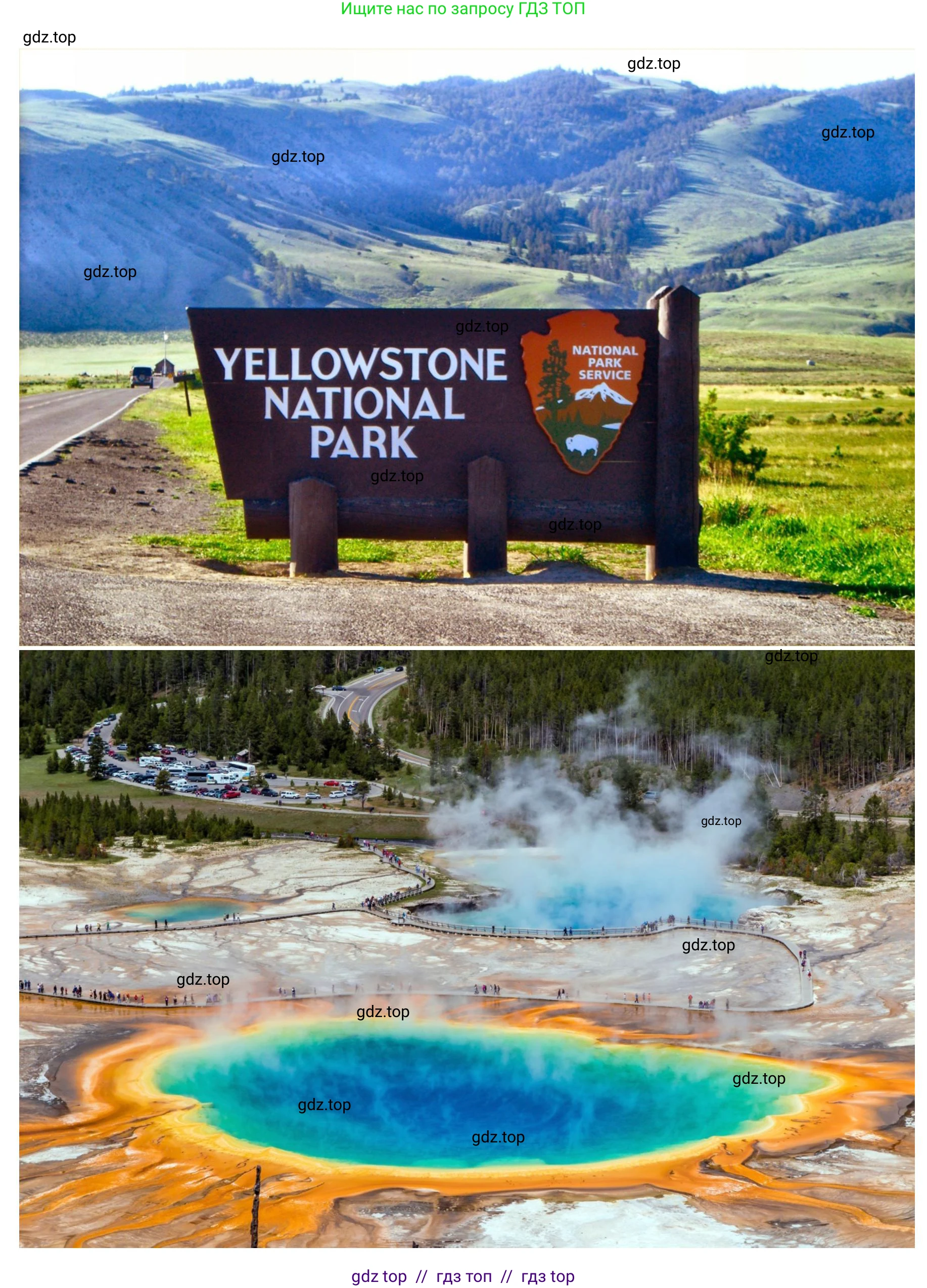 География, 7 класс Учебник, авторы: Алексеев Александр Иванович, Николина Вера Викторовна, Липкина Елена Карловна, Болысов Сергей Иванович, Ачкасова Татьяна Анатольевна, Кузнецова Галина Юрьевна, издательство Просвещение, Москва, 2023, жёлтого цвета, страница 173, номер 11, Решение 2023 (продолжение 5)