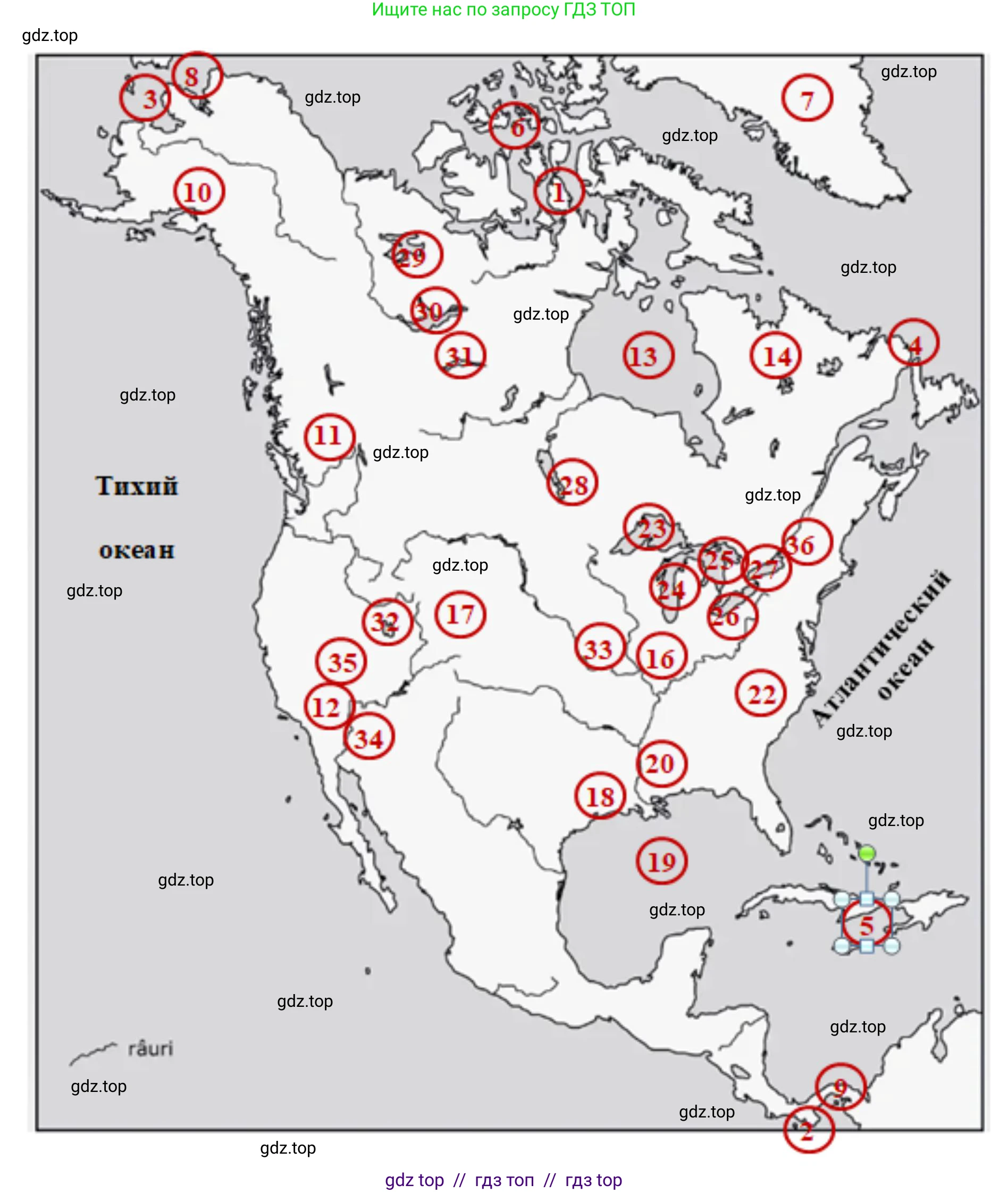 География, 7 класс Учебник, авторы: Алексеев Александр Иванович, Николина Вера Викторовна, Липкина Елена Карловна, Болысов Сергей Иванович, Ачкасова Татьяна Анатольевна, Кузнецова Галина Юрьевна, издательство Просвещение, Москва, 2023, жёлтого цвета, страница 173, номер 8, Решение 2023 (продолжение 2)