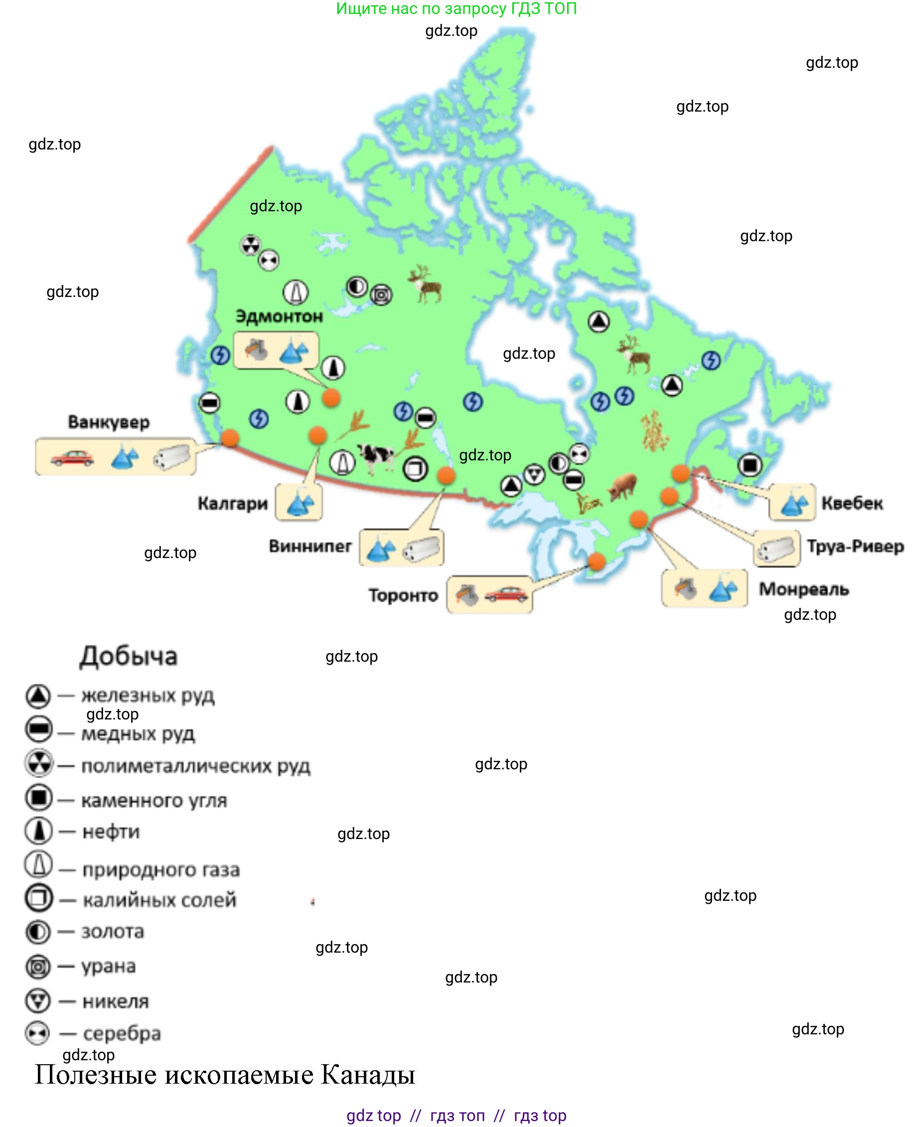 География, 7 класс Учебник, авторы: Алексеев Александр Иванович, Николина Вера Викторовна, Липкина Елена Карловна, Болысов Сергей Иванович, Ачкасова Татьяна Анатольевна, Кузнецова Галина Юрьевна, издательство Просвещение, Москва, 2023, жёлтого цвета, страница 177, номер 6, Решение 2023 (продолжение 3)