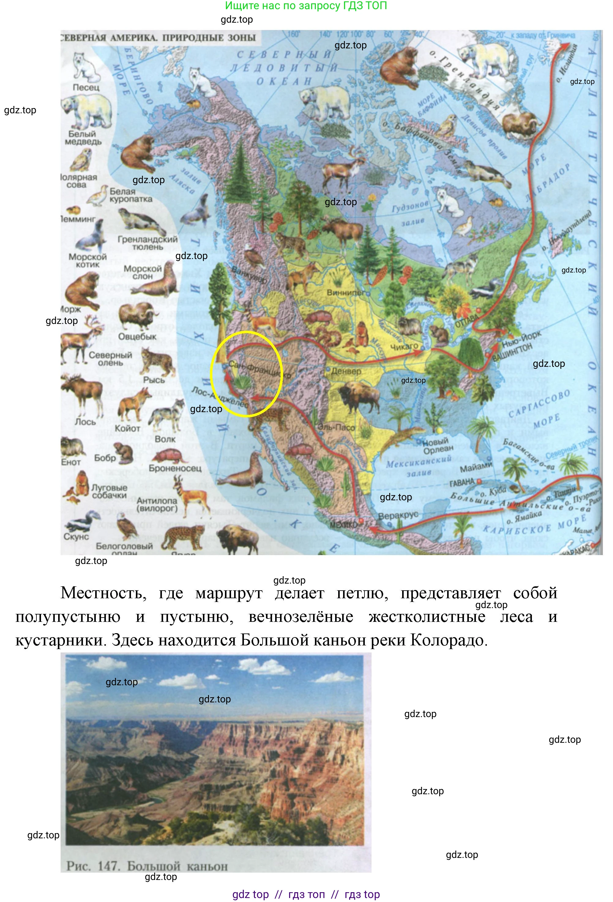 География, 7 класс Учебник, авторы: Алексеев Александр Иванович, Николина Вера Викторовна, Липкина Елена Карловна, Болысов Сергей Иванович, Ачкасова Татьяна Анатольевна, Кузнецова Галина Юрьевна, издательство Просвещение, Москва, 2023, жёлтого цвета, страница 181, номер 4, Решение 2023 (продолжение 2)